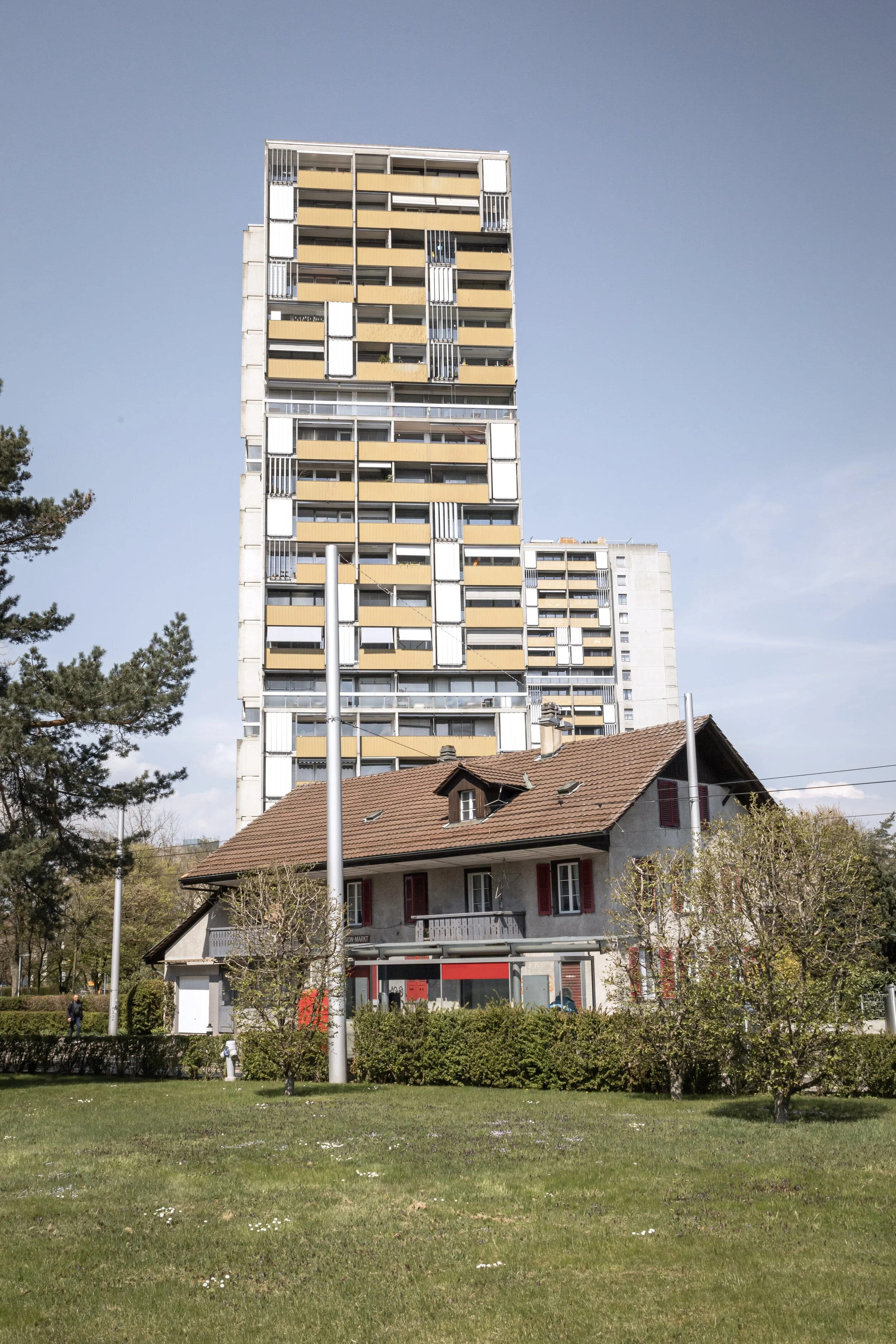 BÜMPLIZ & BERN FLORECIMIENTO-22.jpg