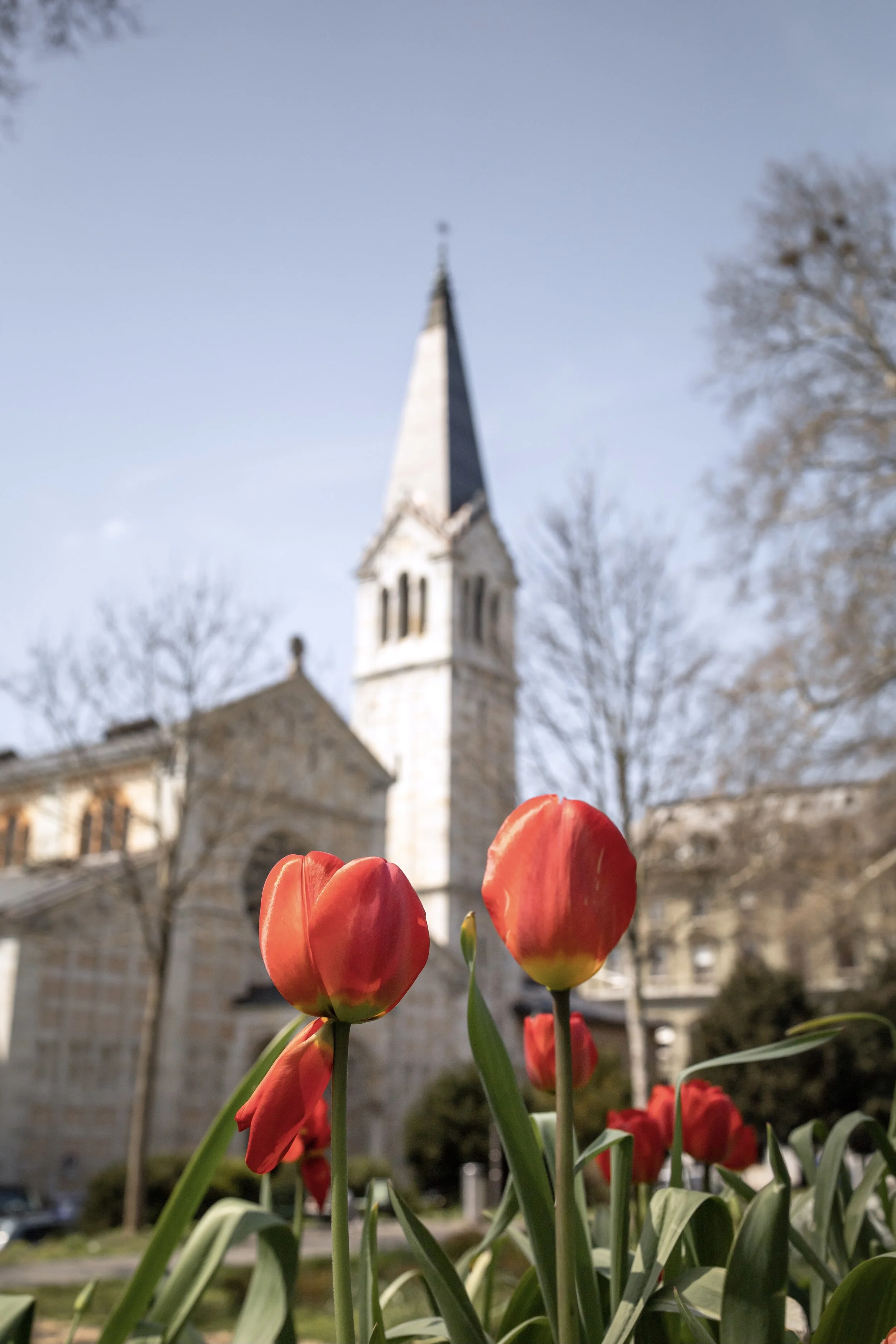 BÜMPLIZ & BERN FLORECIMIENTO-29.jpg