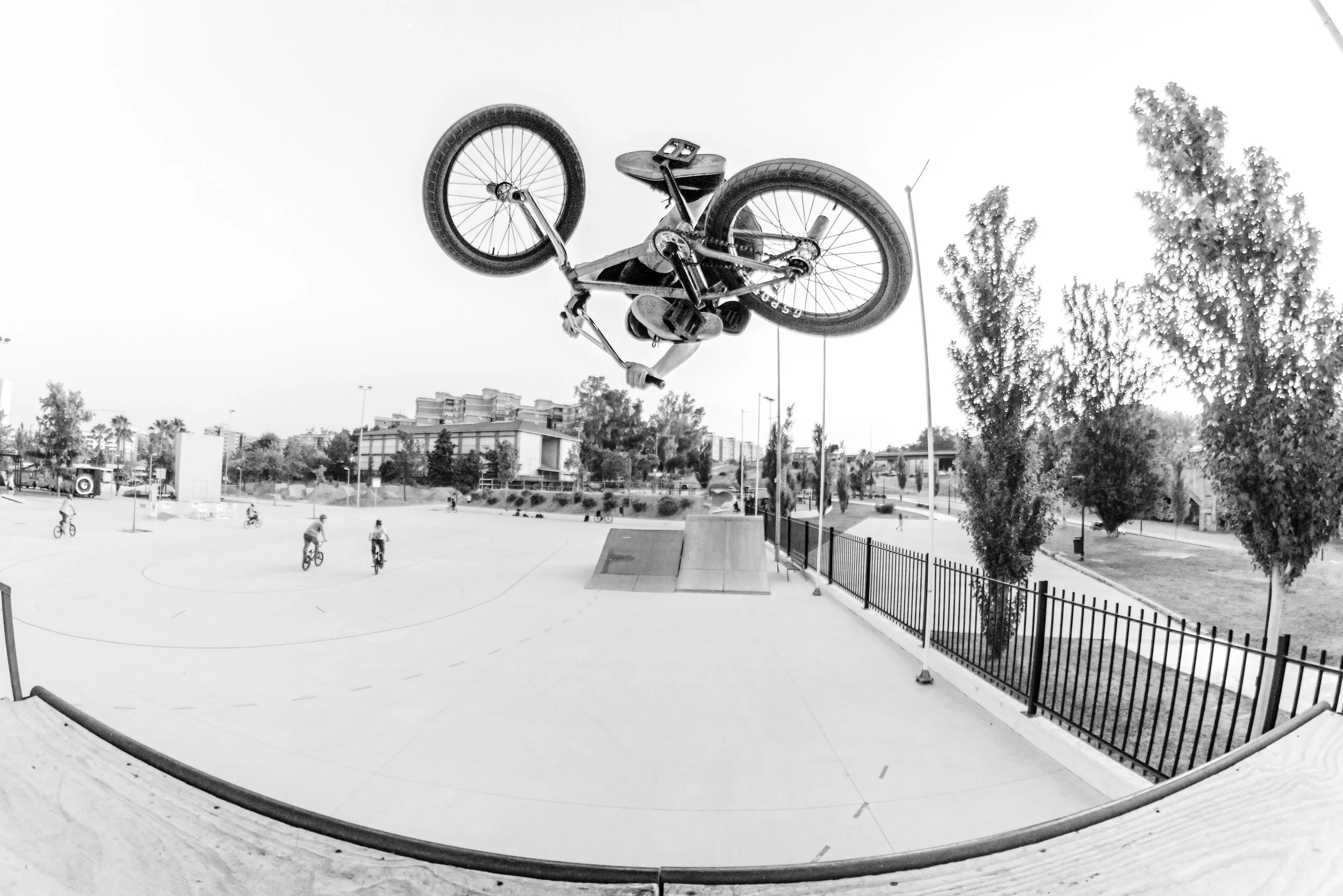 GORDO SKATE PARK MALAGA 3.jpg