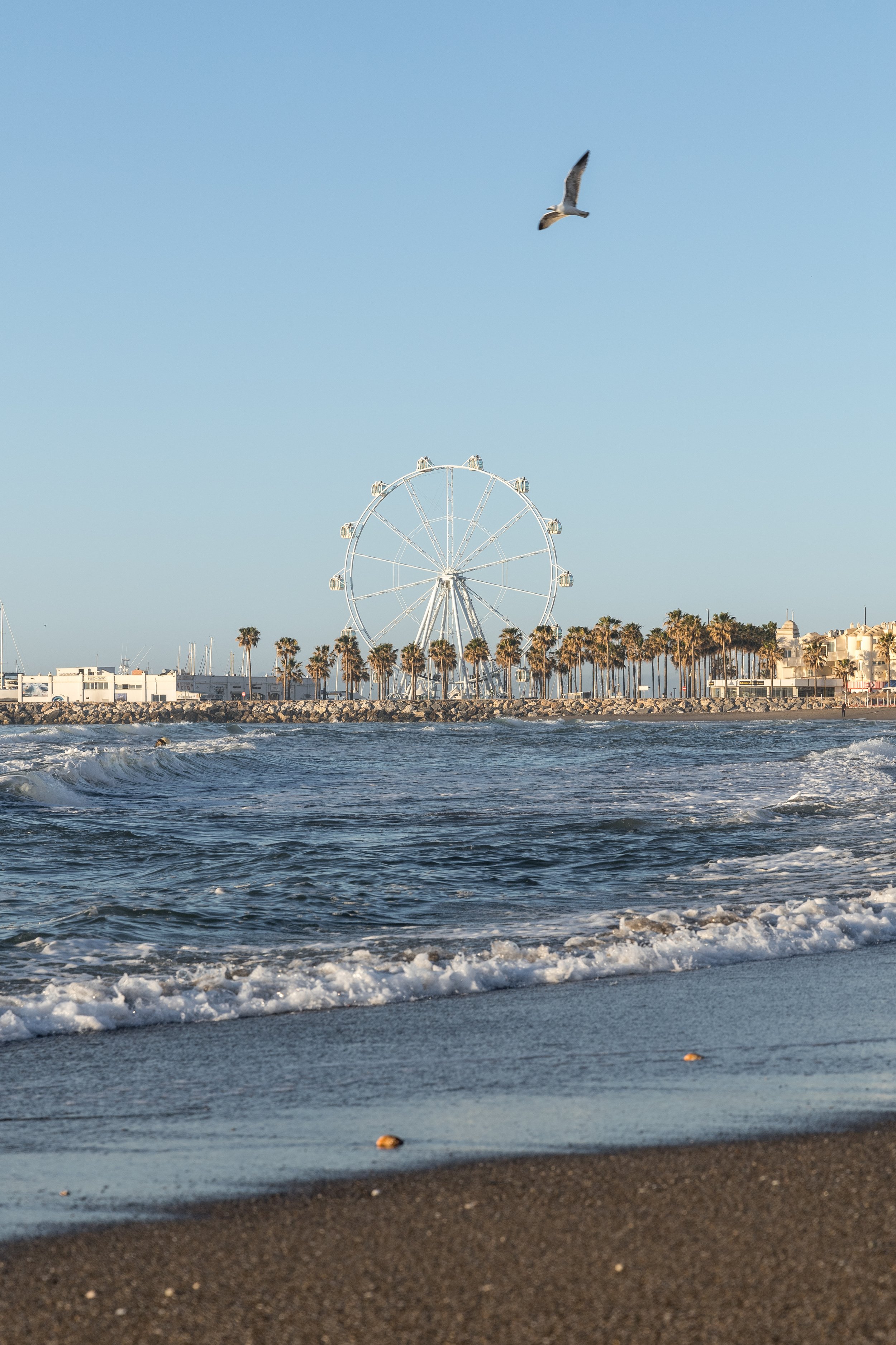 BENALMADENA PLAYA NORIA-11.jpg