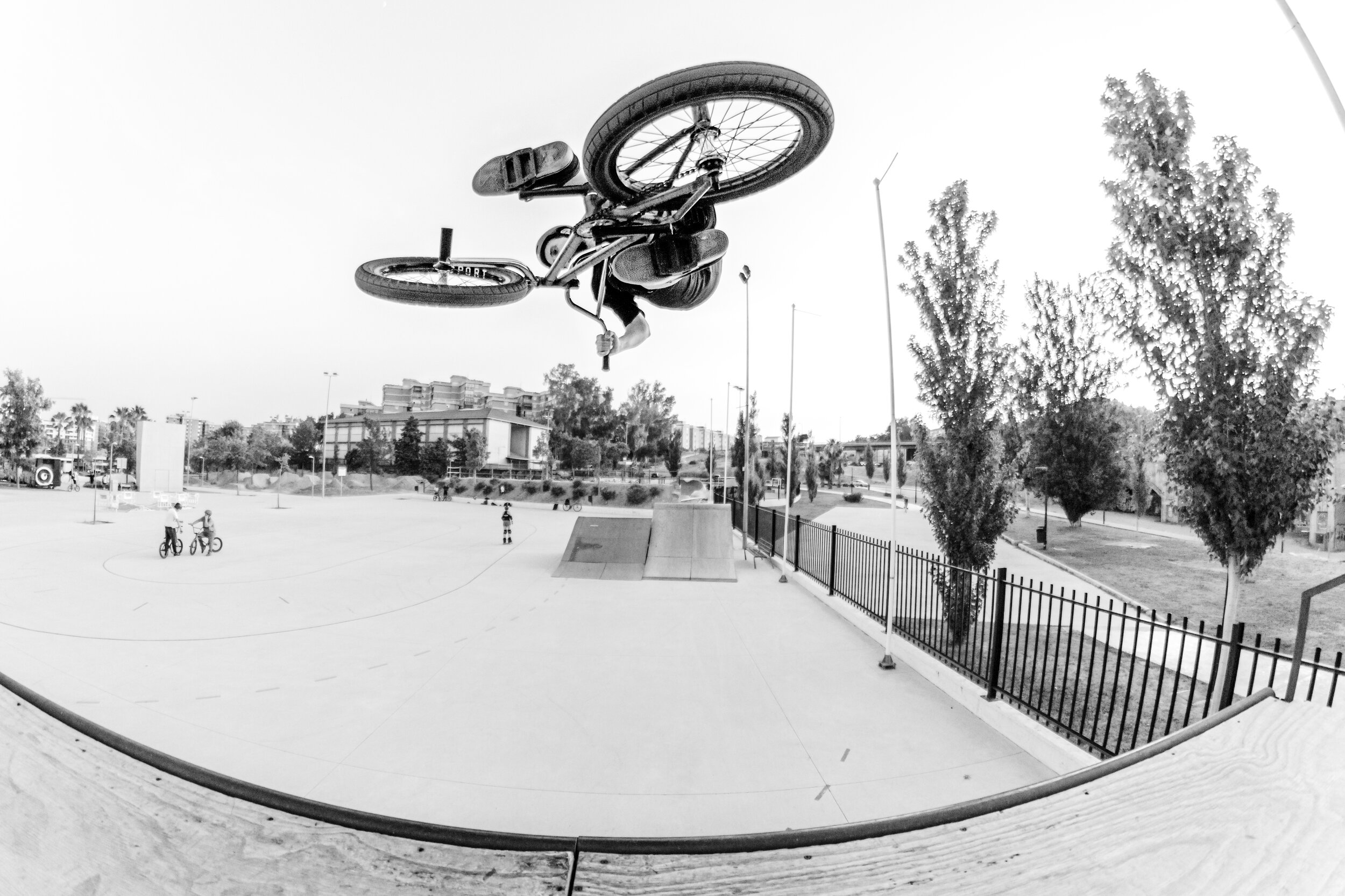 GORDO SKATE PARK MALAGA 2.jpg