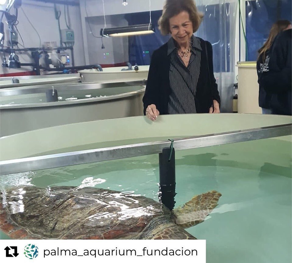 Our favourite people @palma_aquarium_fundacion had a very special visitor last week - Queen Sofia of Spain. 

This has been an incredible boost! Very proud of Debora and her team. For us - u are royalty 💙😁🥰

Repost from @palma_aquarium_fundacion
&