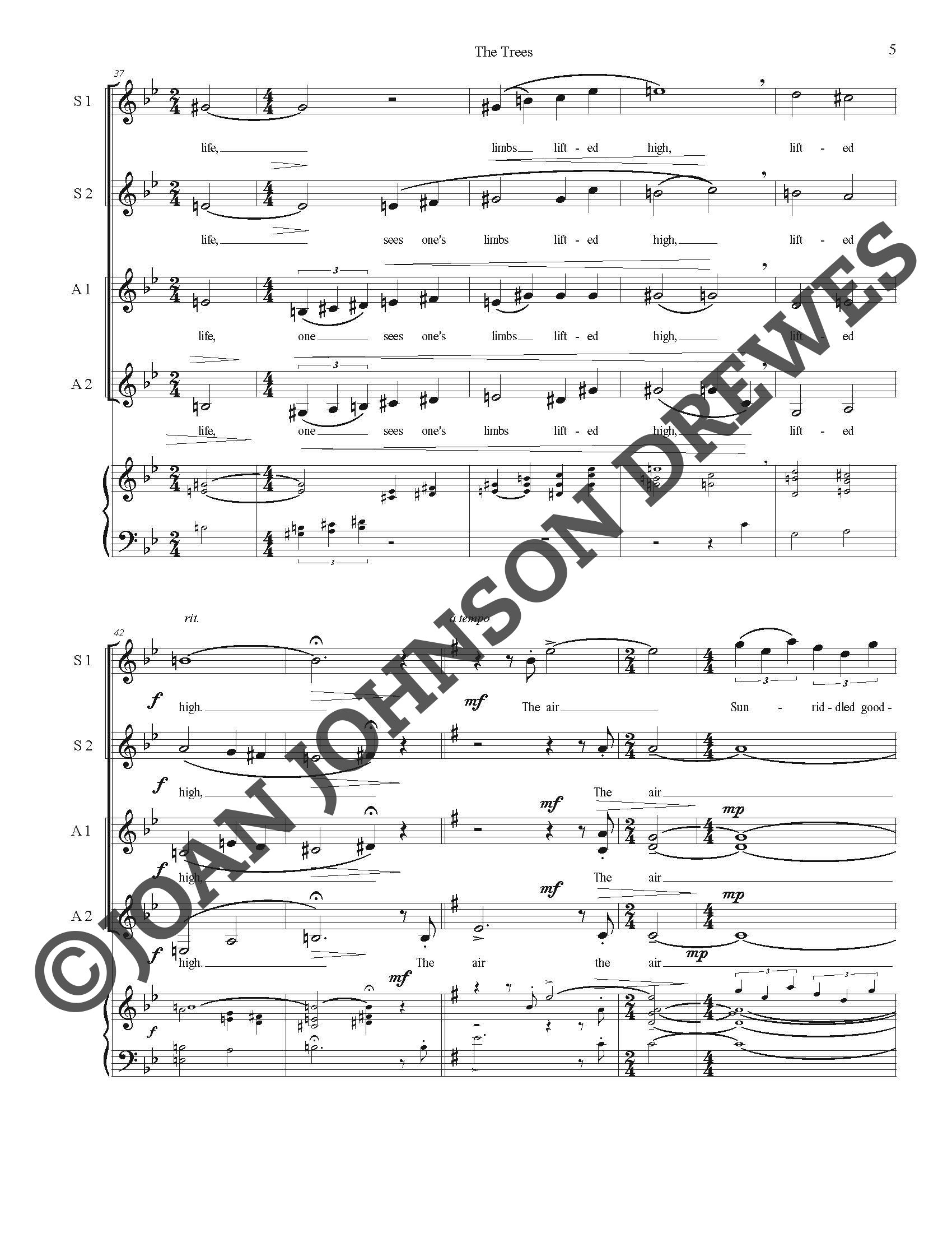 Distant Murmurings (Piano Reduction) copy_Page_14.jpg