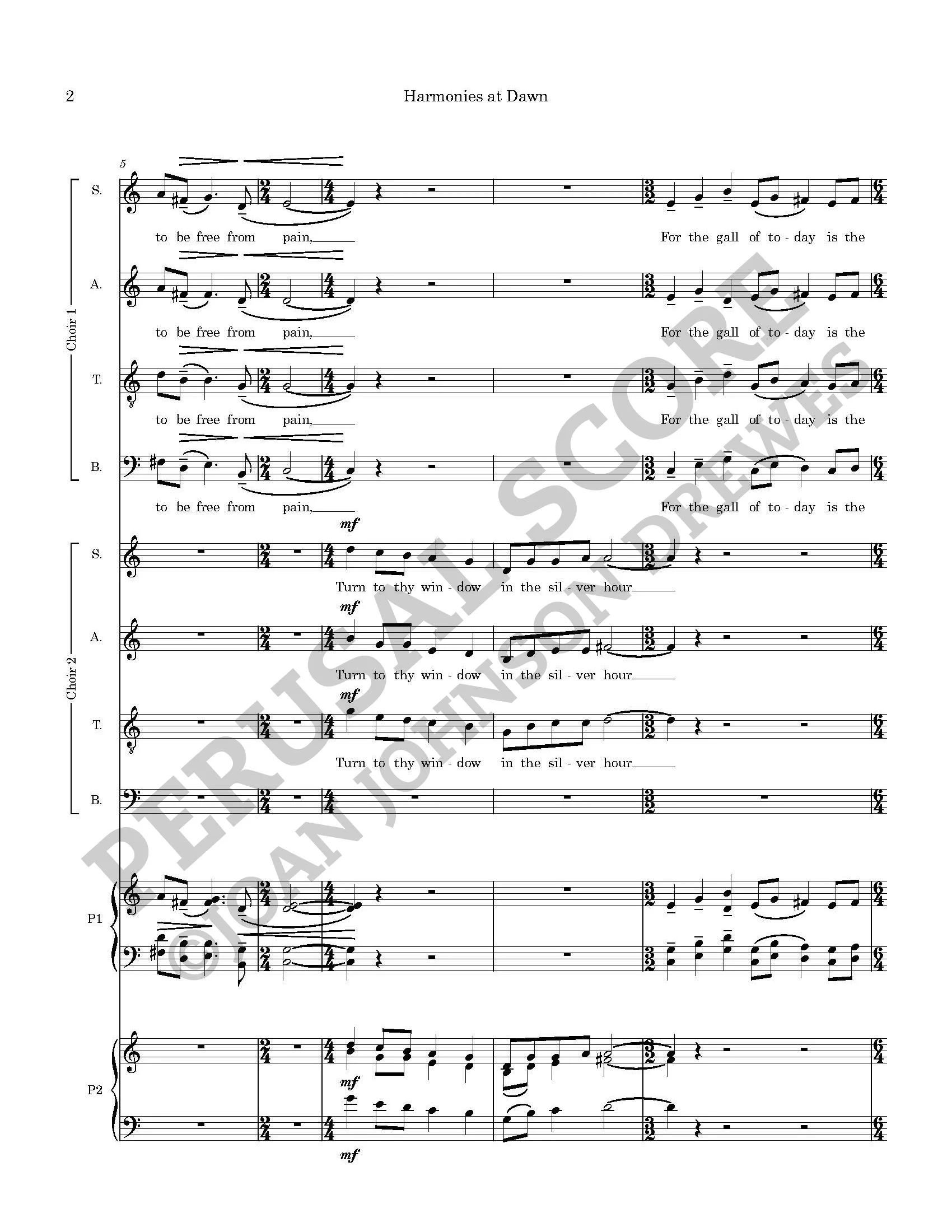 Harmonies at Dawn - Score Complete copy_Page_04.jpg