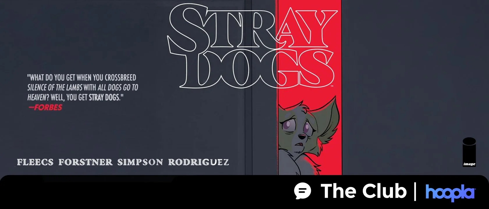 MQ-stray-dogs-the-club-june-2025.jpg