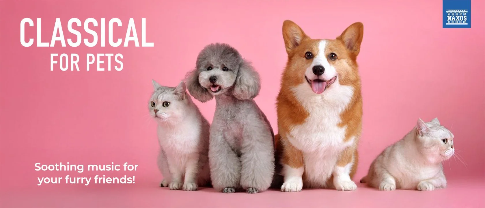MQ-classical-for-pets.jpg