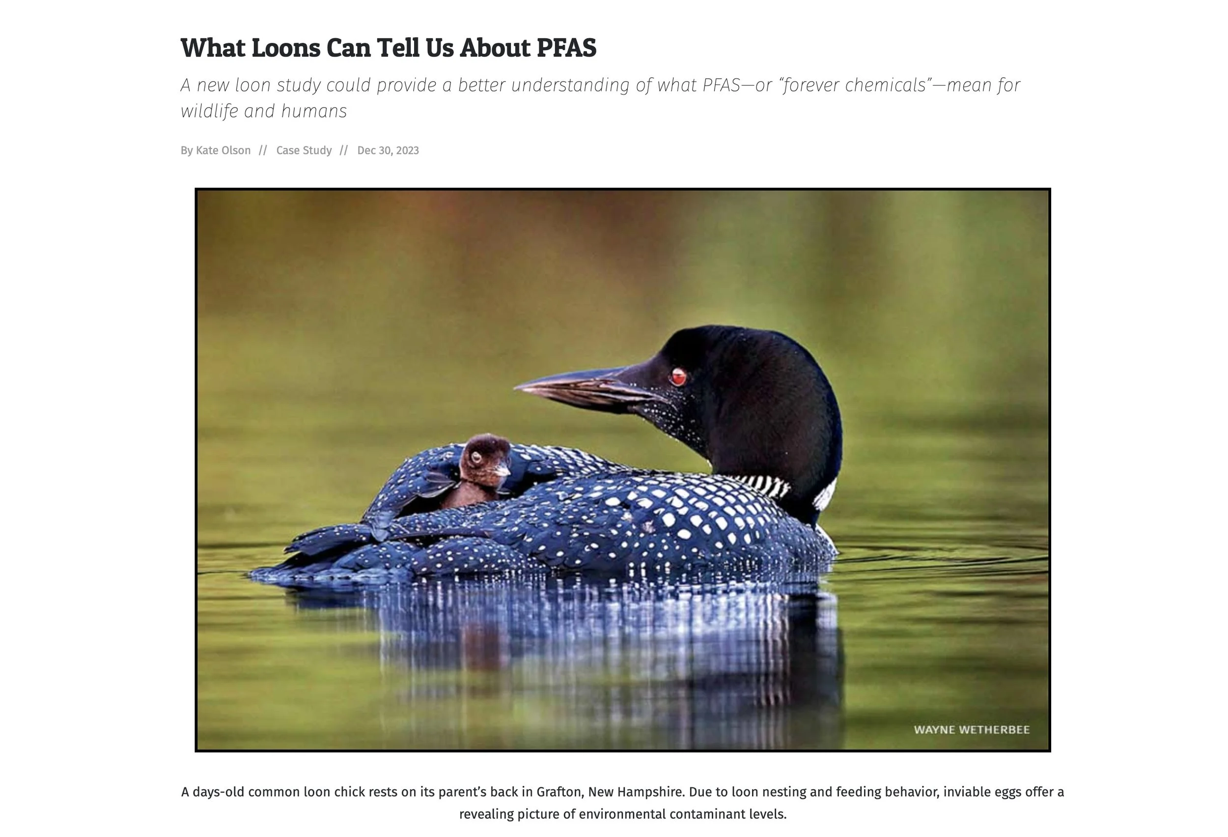 Image 6-10-24 at 4.16 PM.jpeg