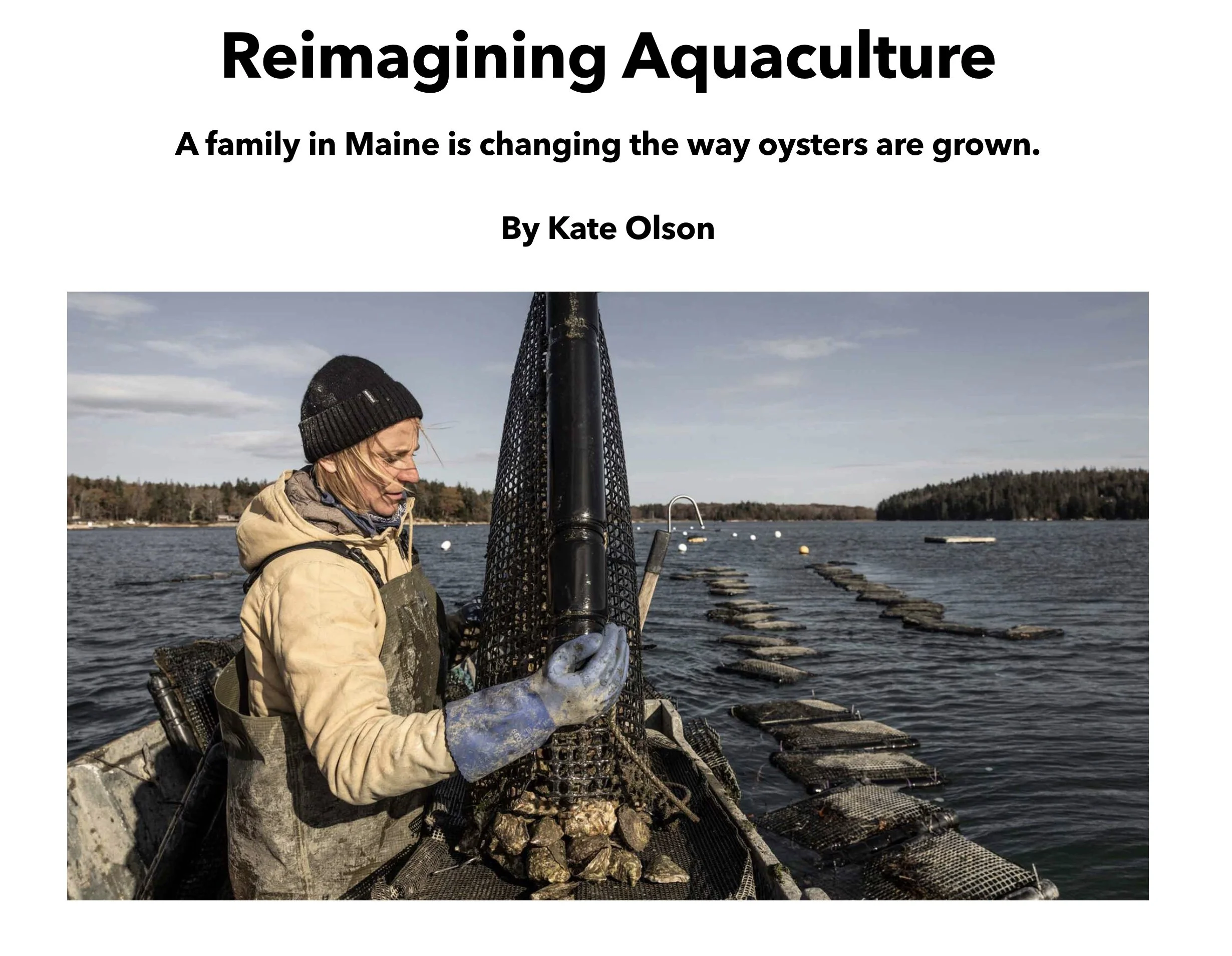 Image 6-10-24 at 4.18 PM.jpeg