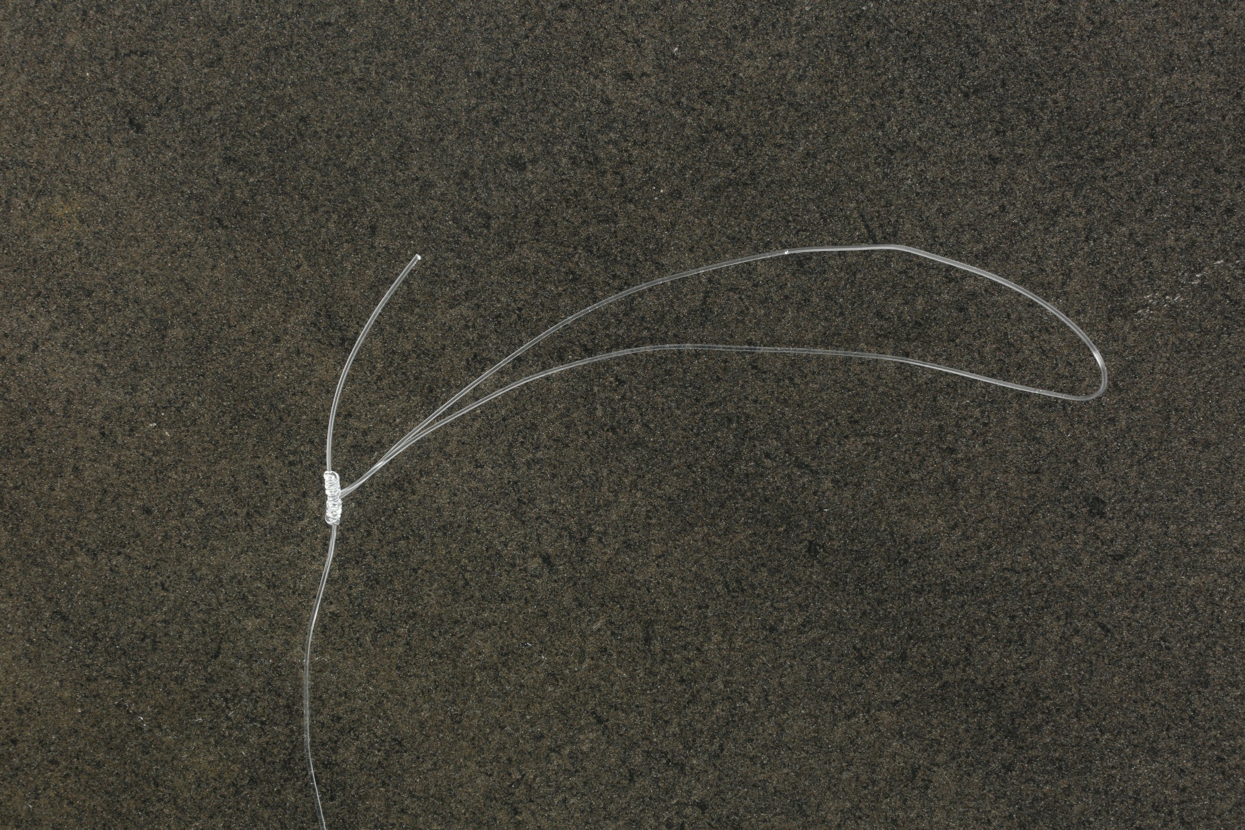 Line_04_4.jpg