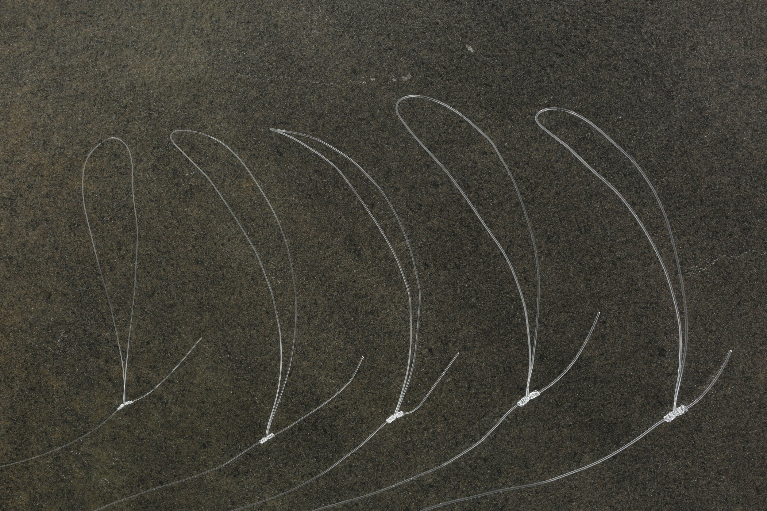Line_04_5.jpg