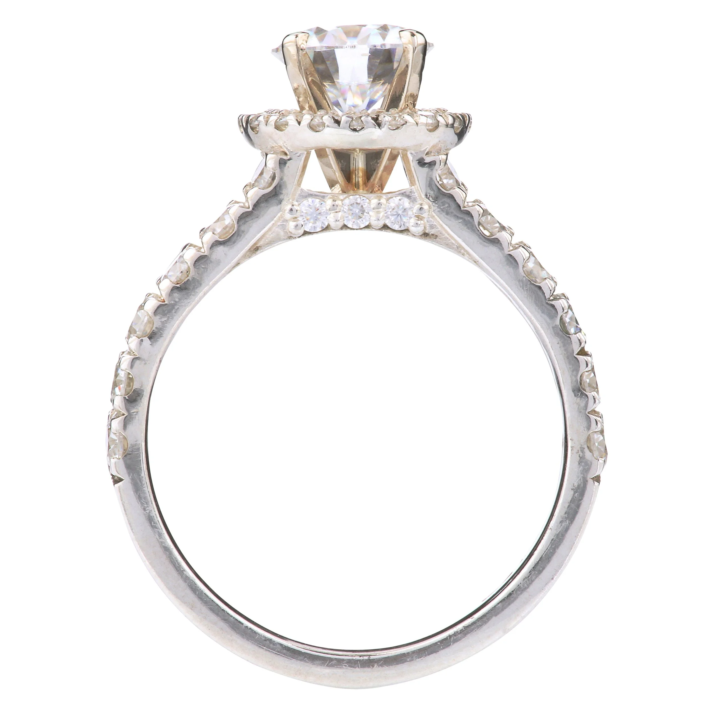 Macro Detail Photography