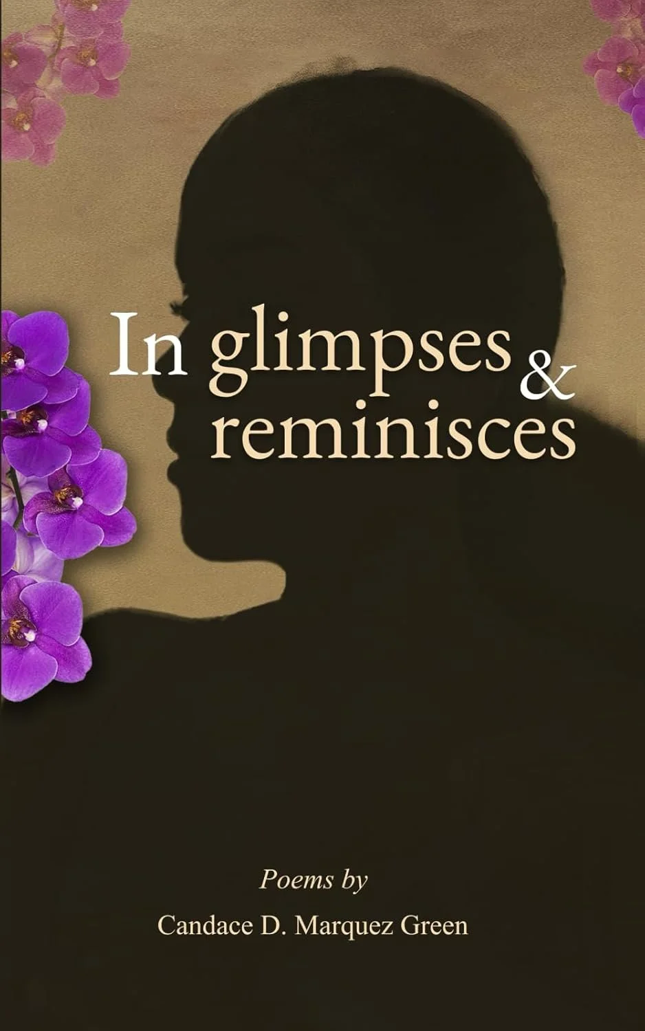 Book Review: In glimpses and reminisces