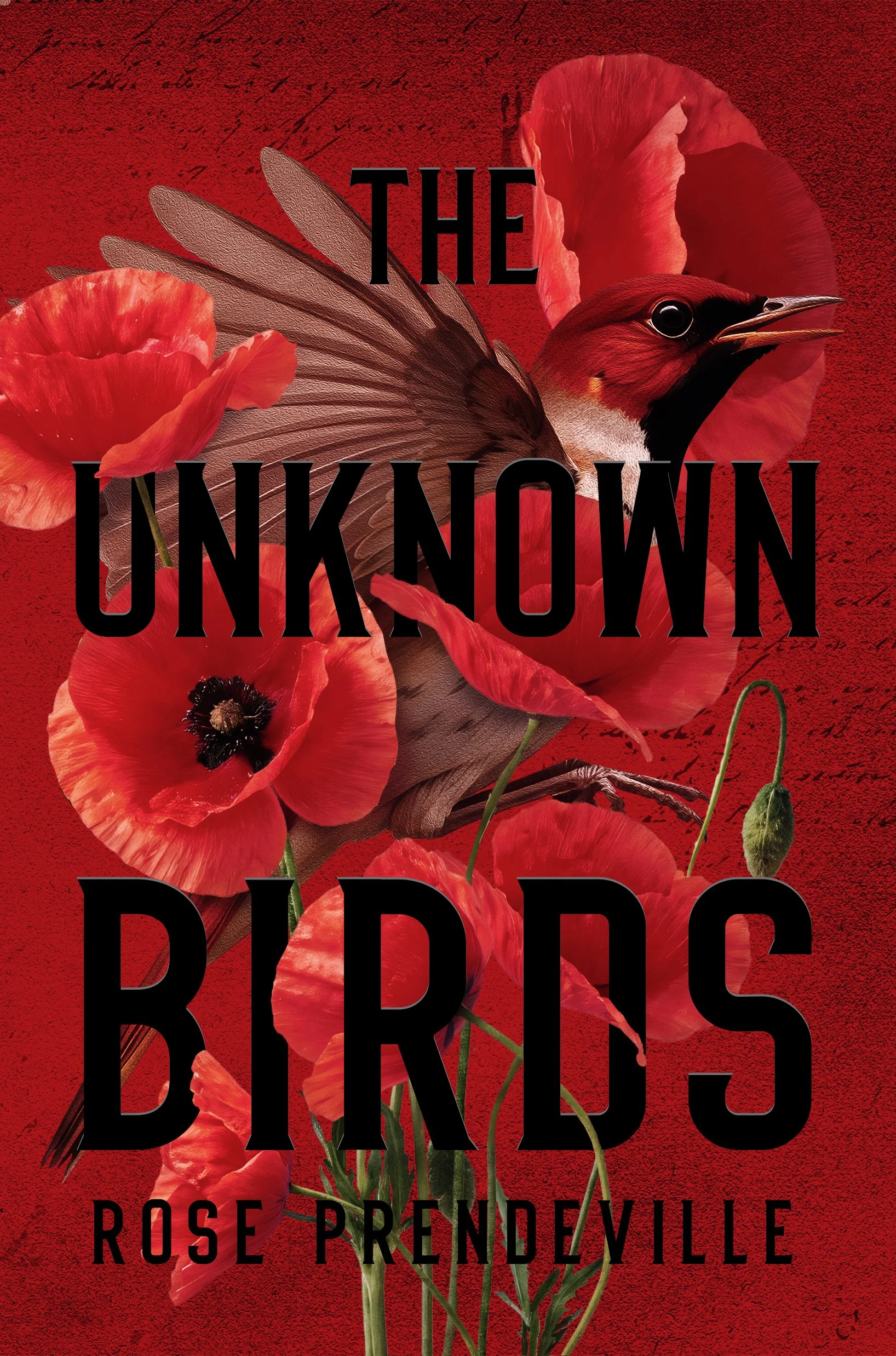 Book Review: The Unknown Birds