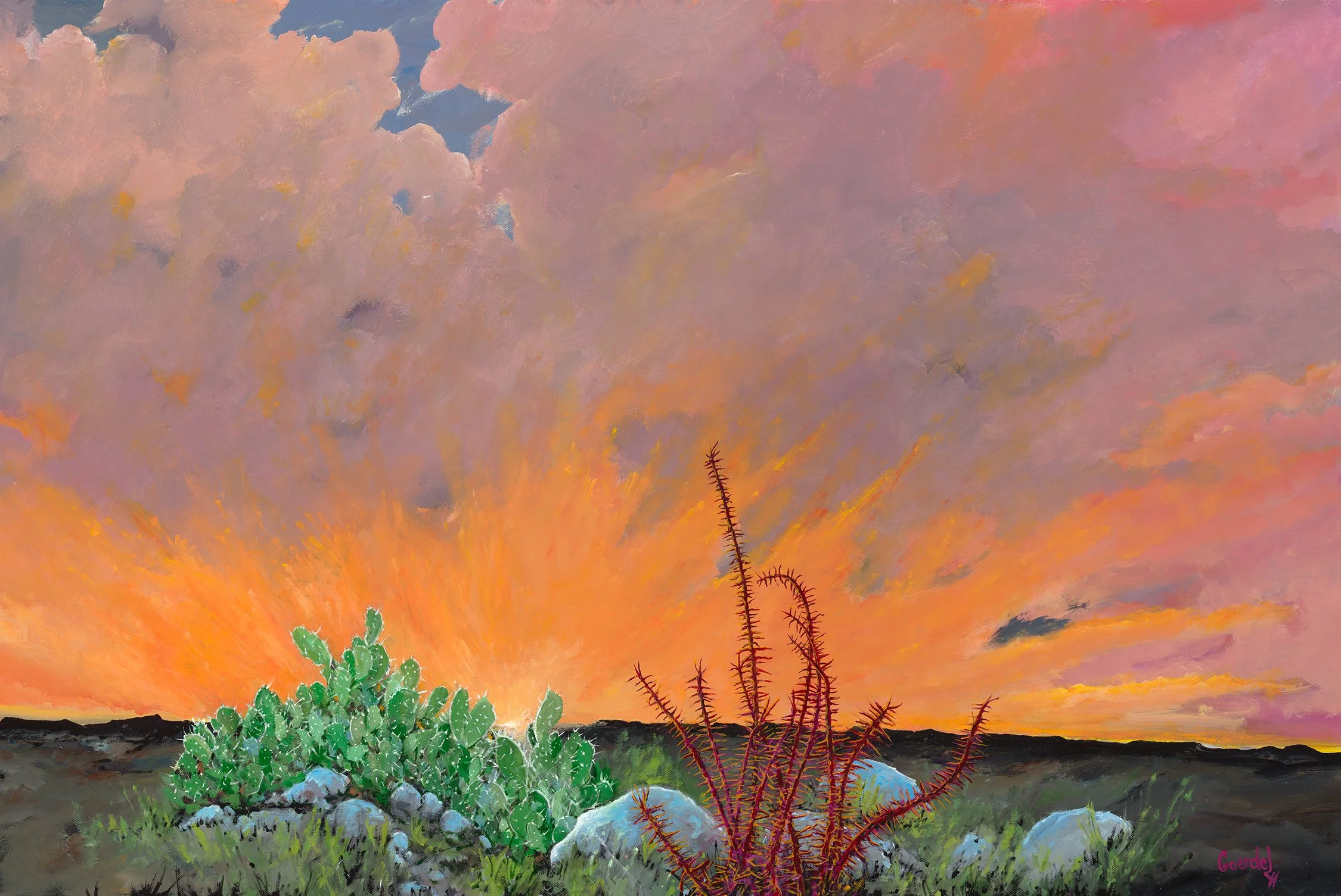 Ocotillo Splendor