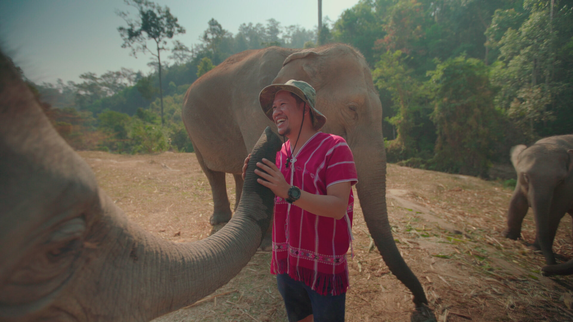 ts_elephants_01.jpg