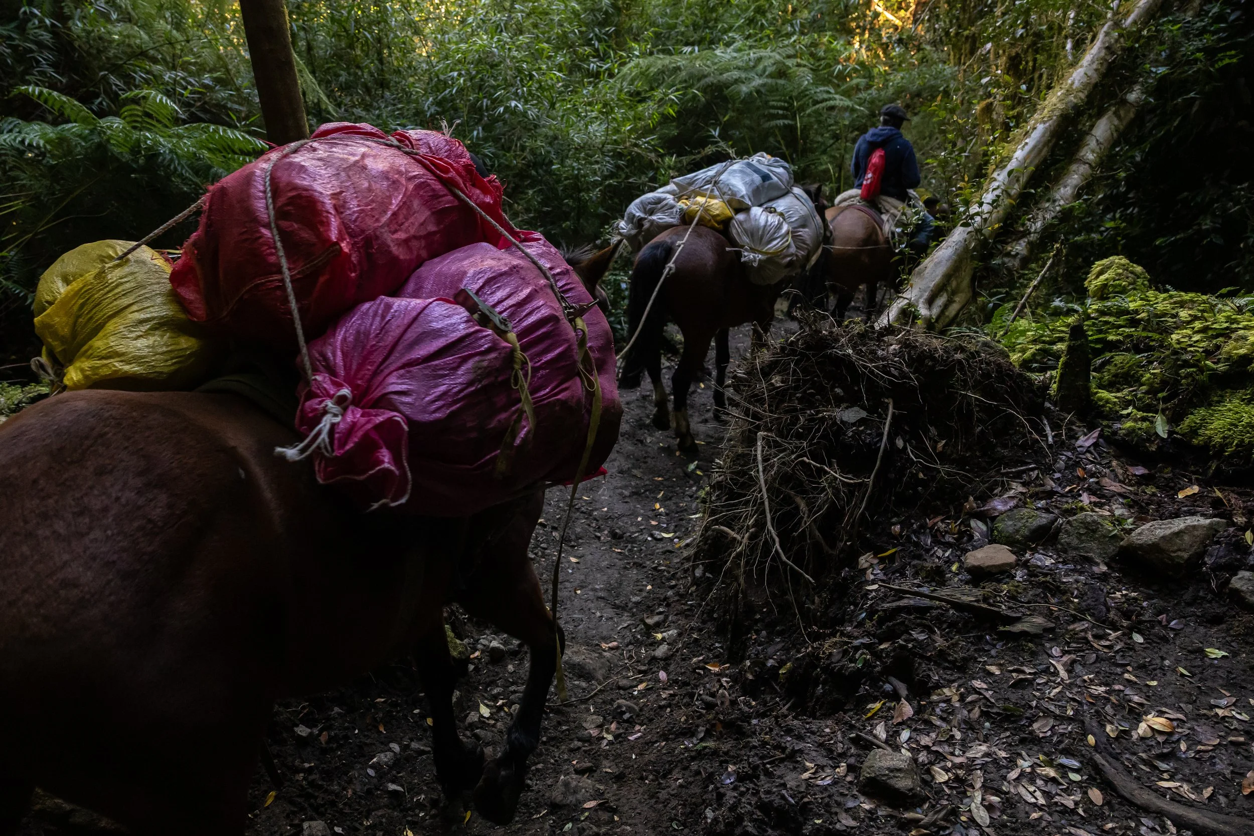 283 - GLP Films Chile - BTS+Extras - HASS9828.jpg