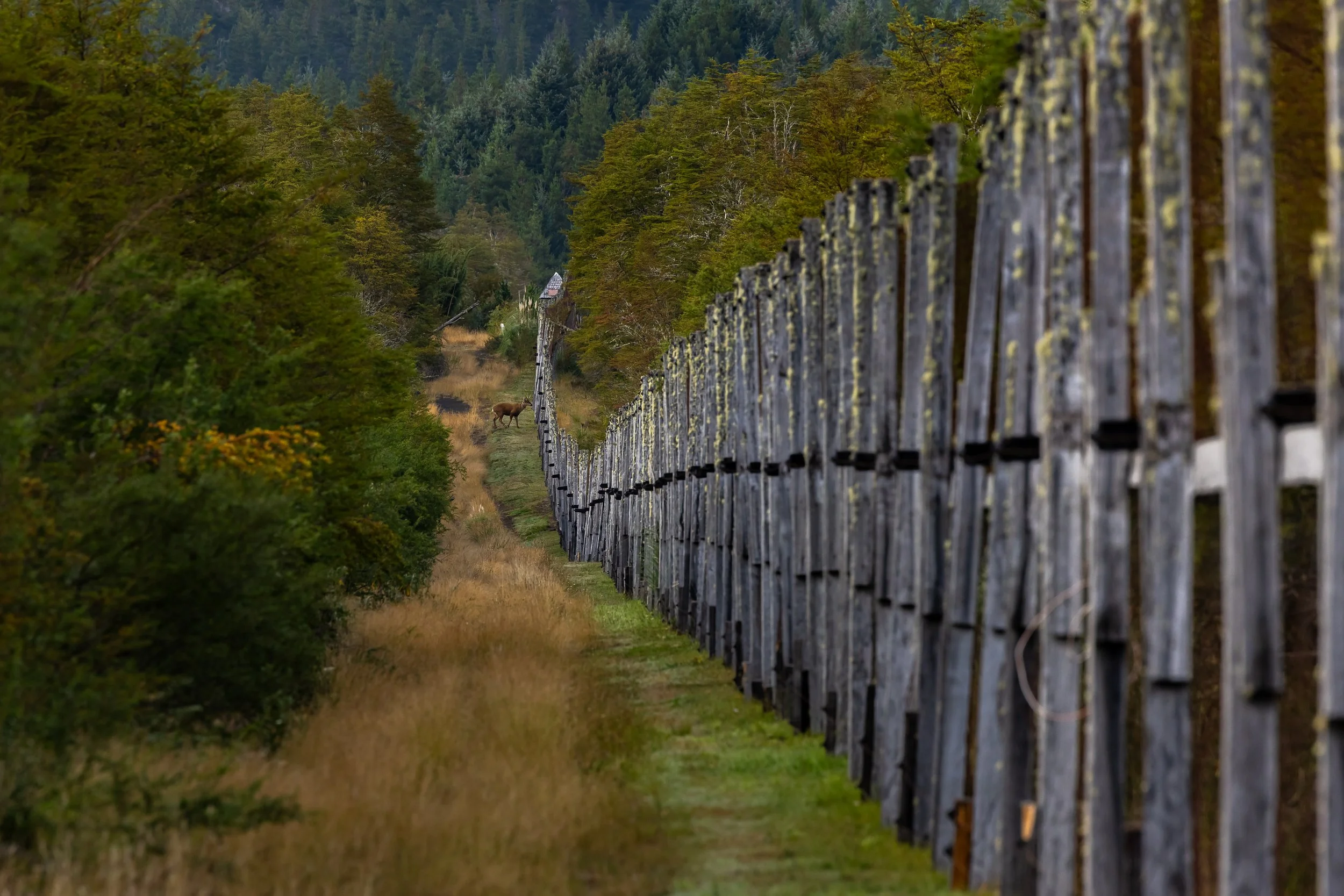 558 - GLP Films Chile - BTS+Extras - HASS2044.jpg