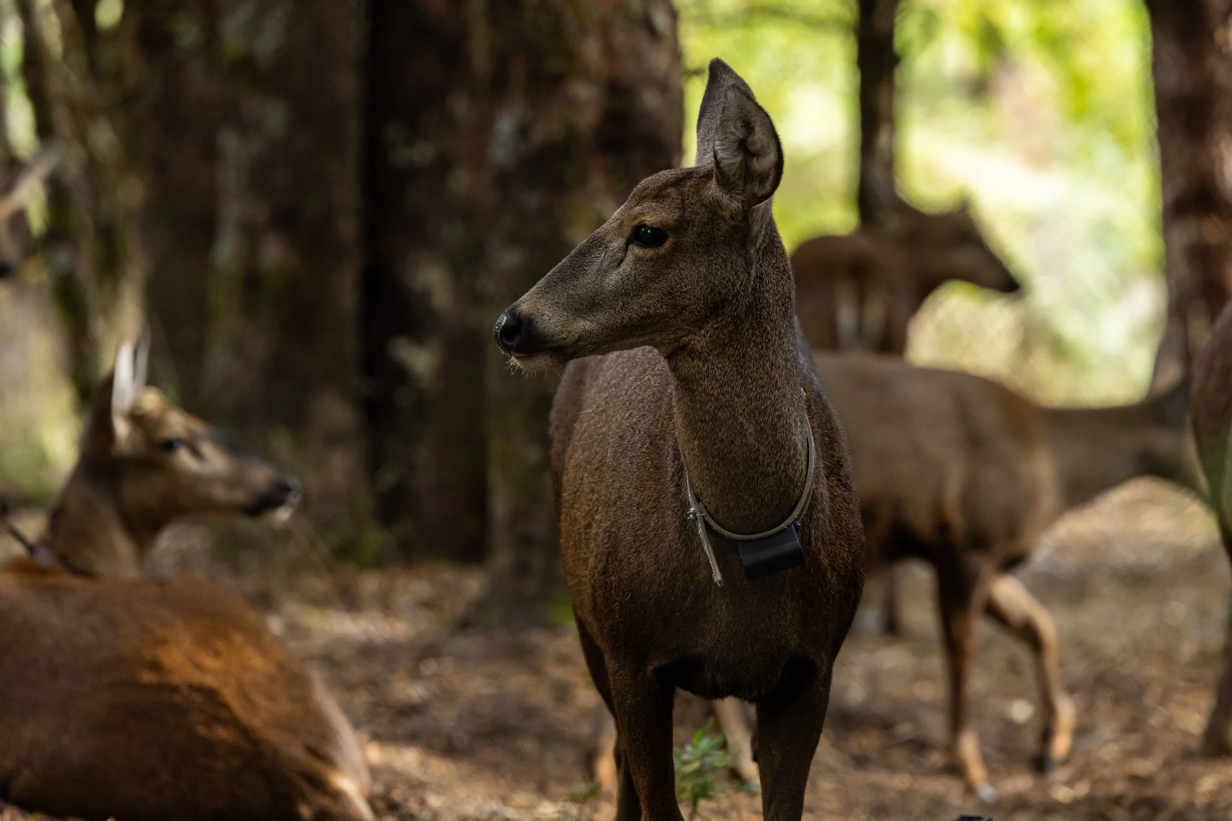 563 - GLP Films Chile - BTS+Extras - HASS2274.jpg