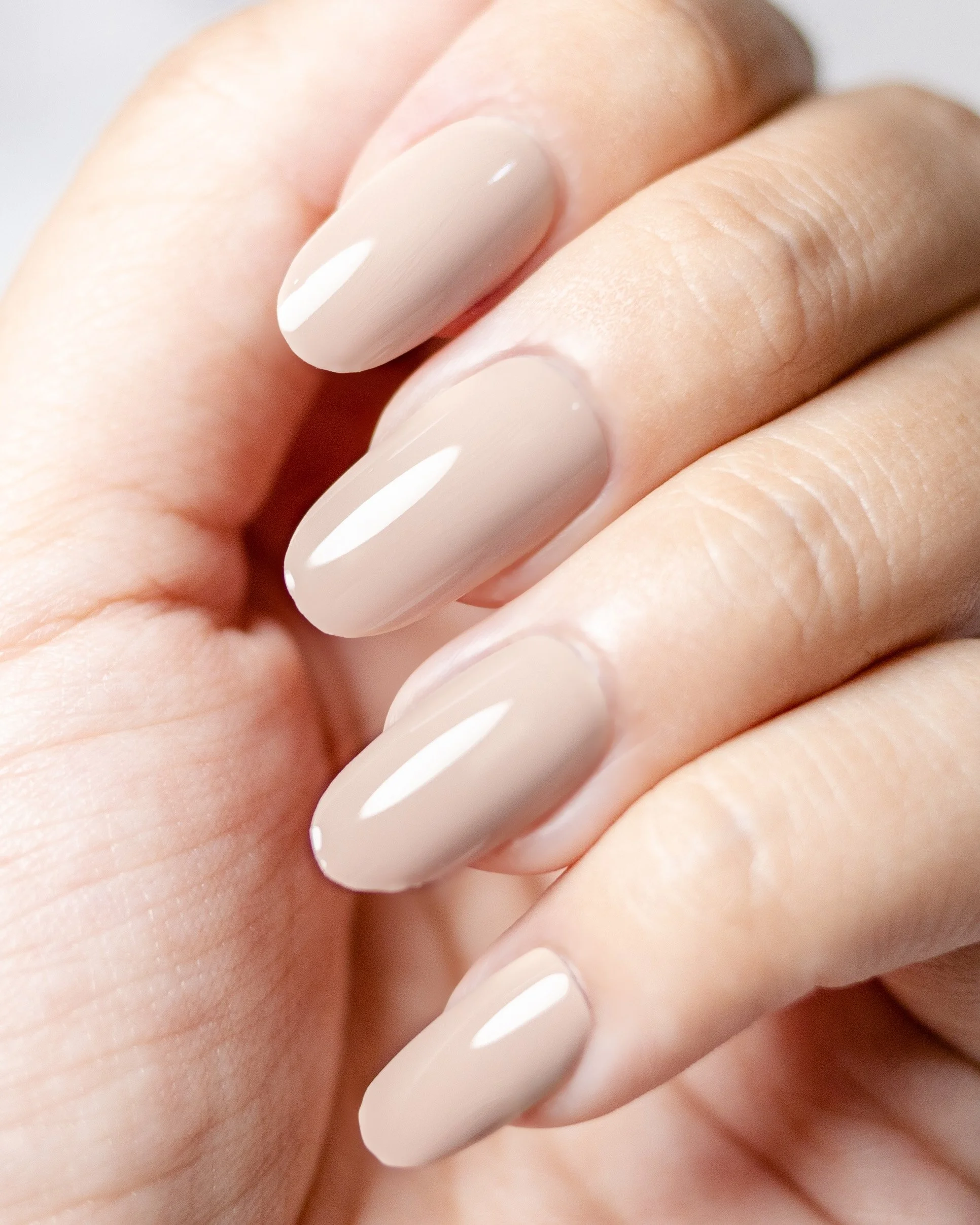 ALMOND-4.jpg