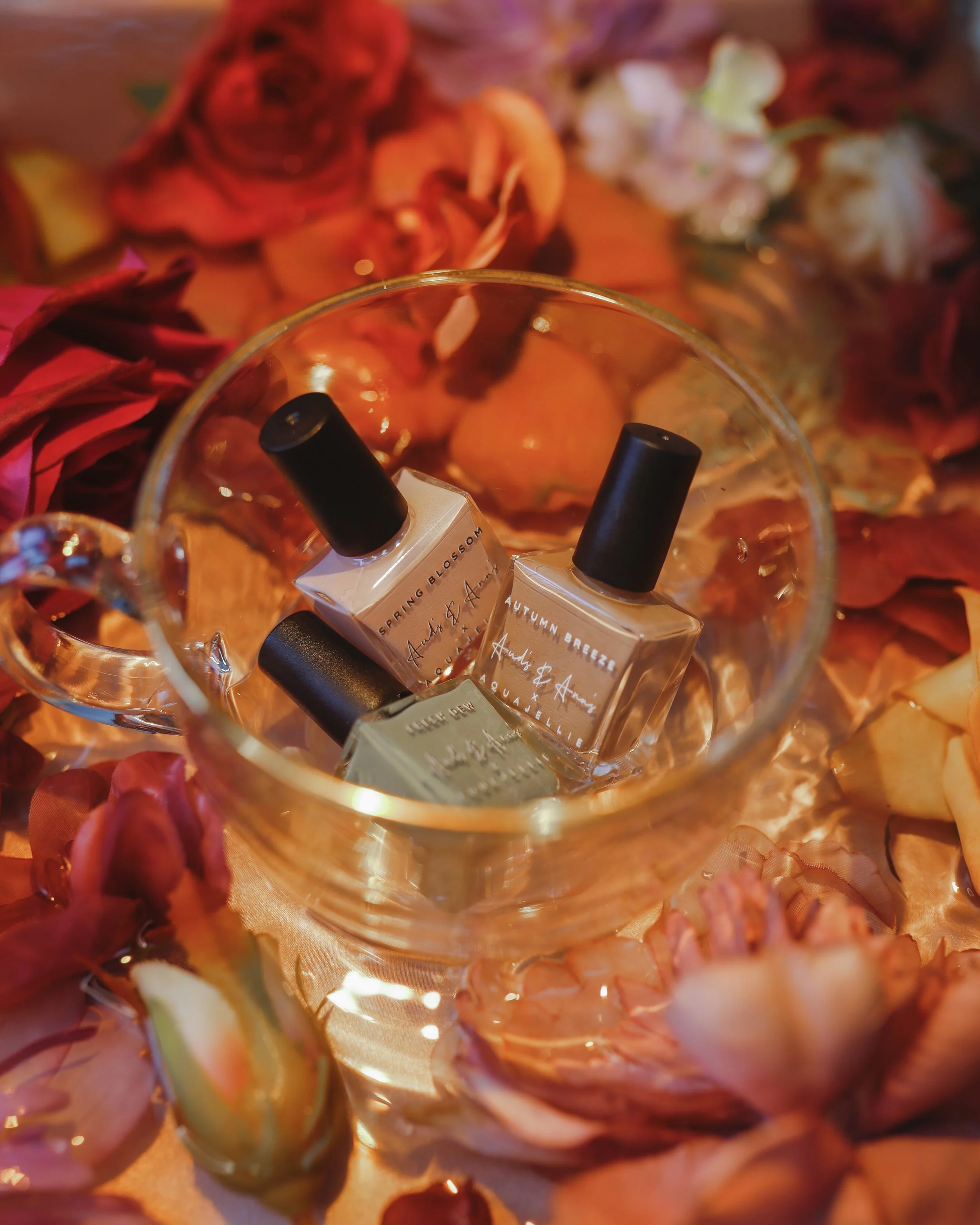 for aquajellie 2.jpg