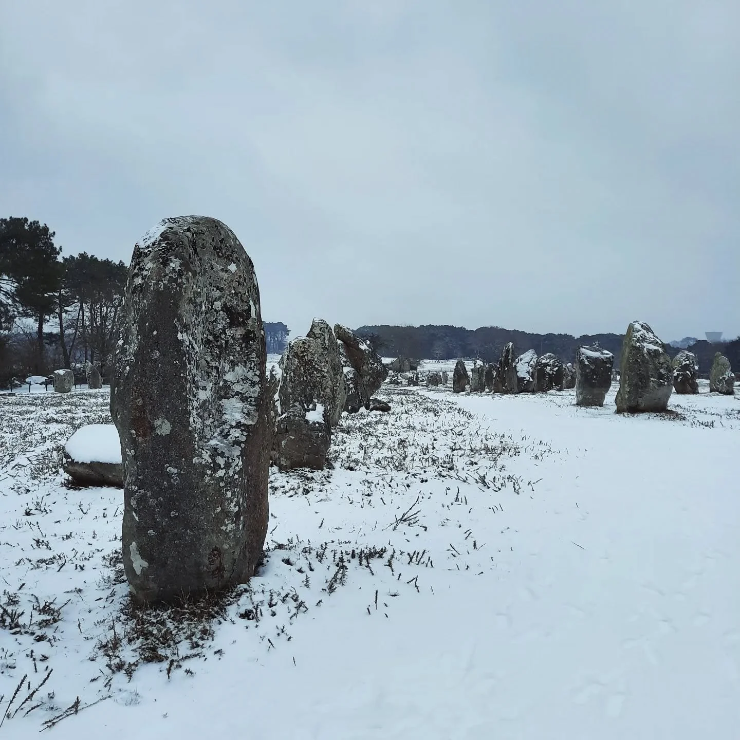 Laisse le monde courrir et s'agiter.

Nous sommes en janvier. C'est encore le temps de la Femme Sage et Visionnaire.

Depuis novembre elle s'est retir&eacute;e progressivement pour contempler, r&eacute;fl&eacute;chir, s'int&eacute;rioriser. 

Plus tu