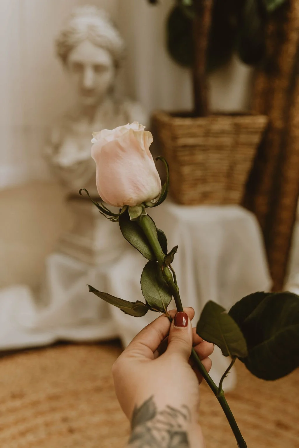 Professional brand photographer holding a delicate pink rose, illustrating attention to detail in prop styling and photographic composition.