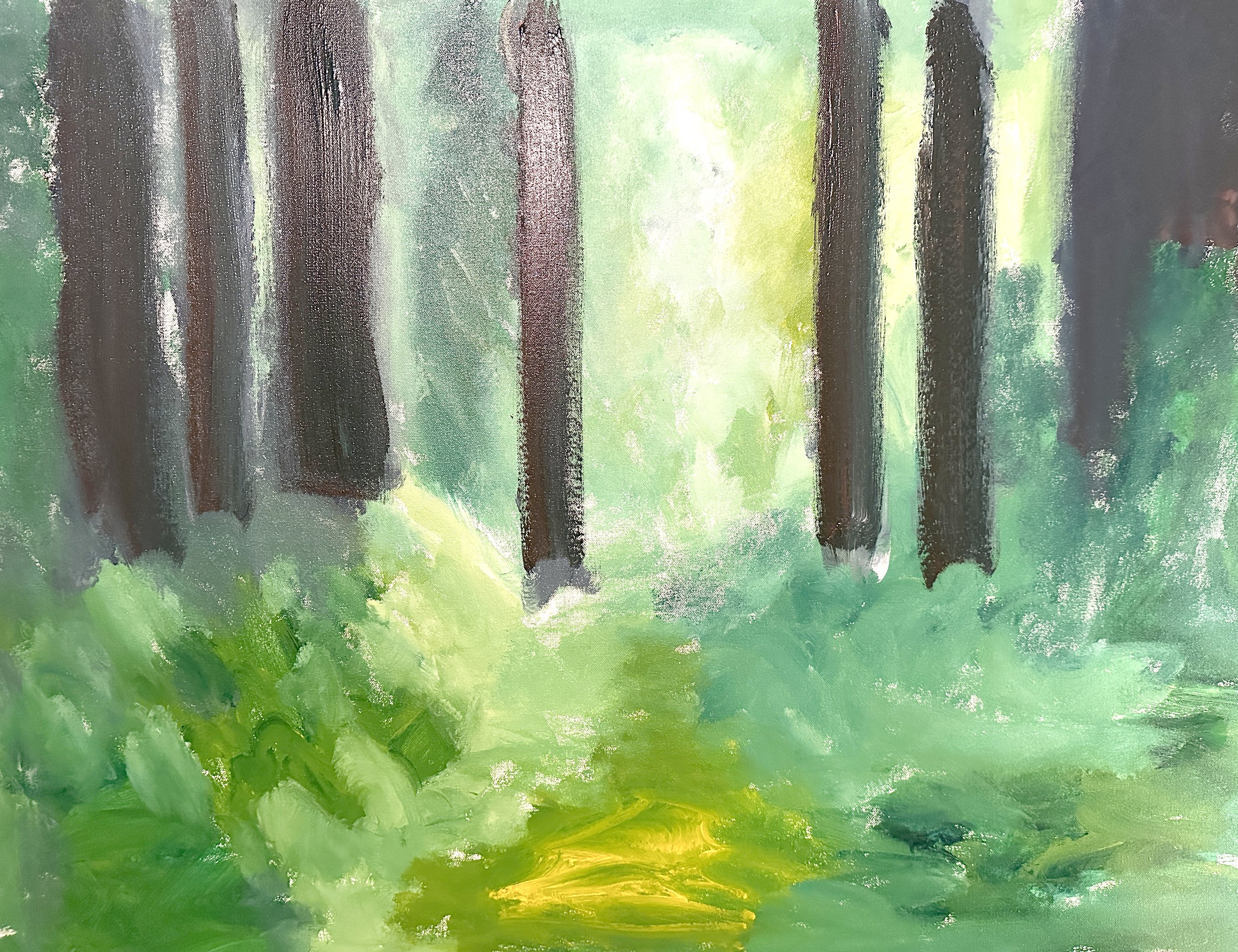 Forest_Large.jpg