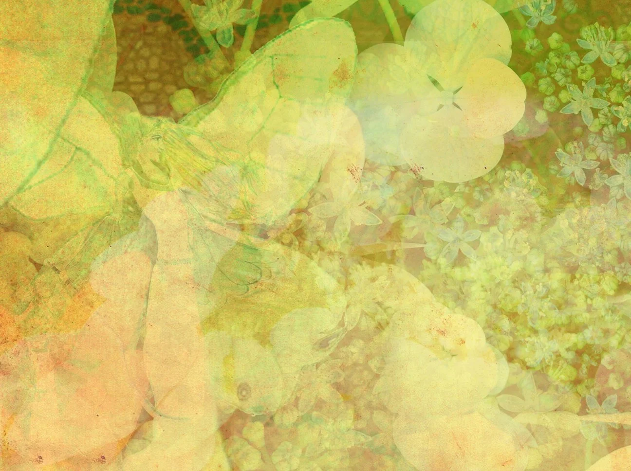 unnamed-2.jpg