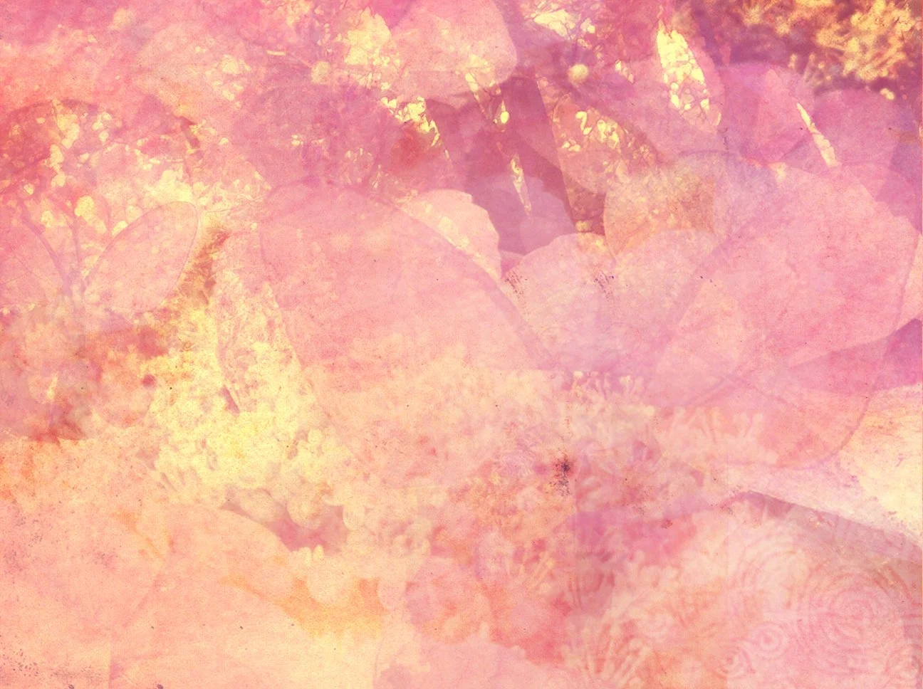 unnamed.jpg