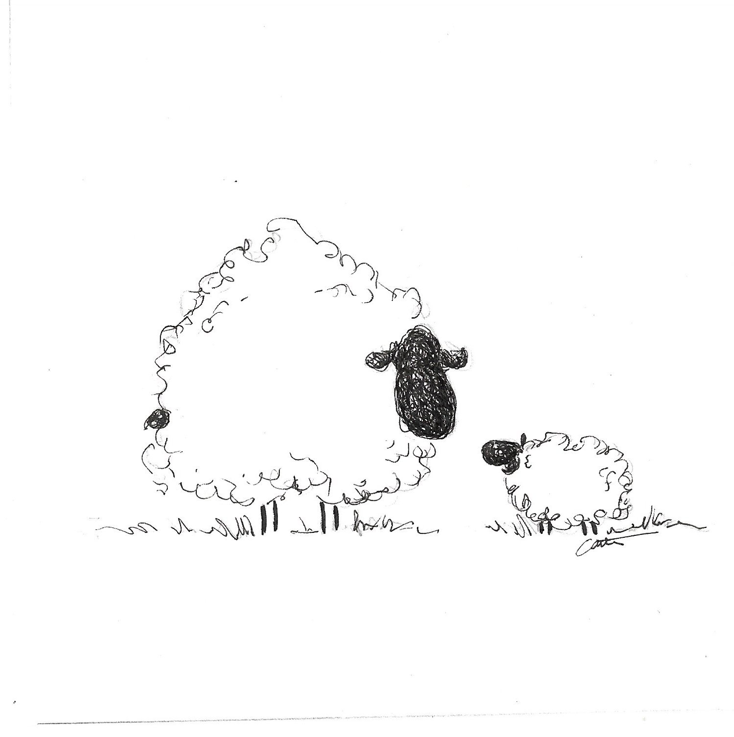 little sheep.jpeg