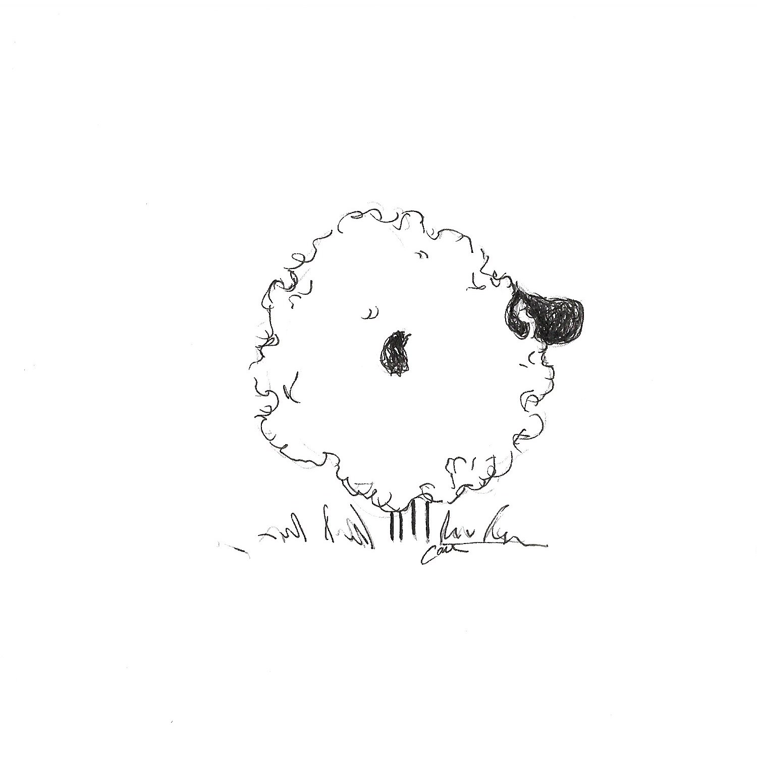 Sheep end 1.jpeg