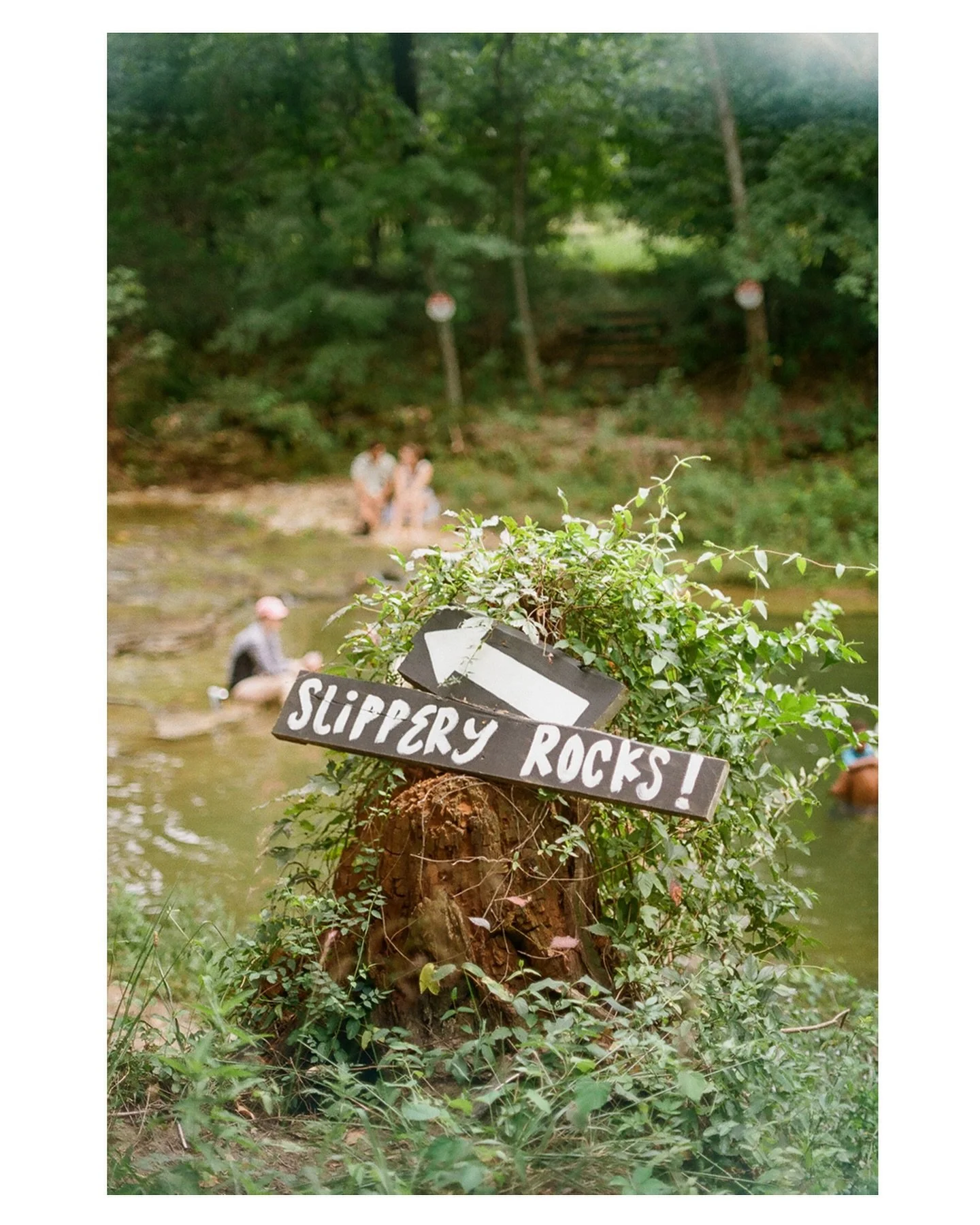 August film
#35mm #canonae1 #kodakgold200