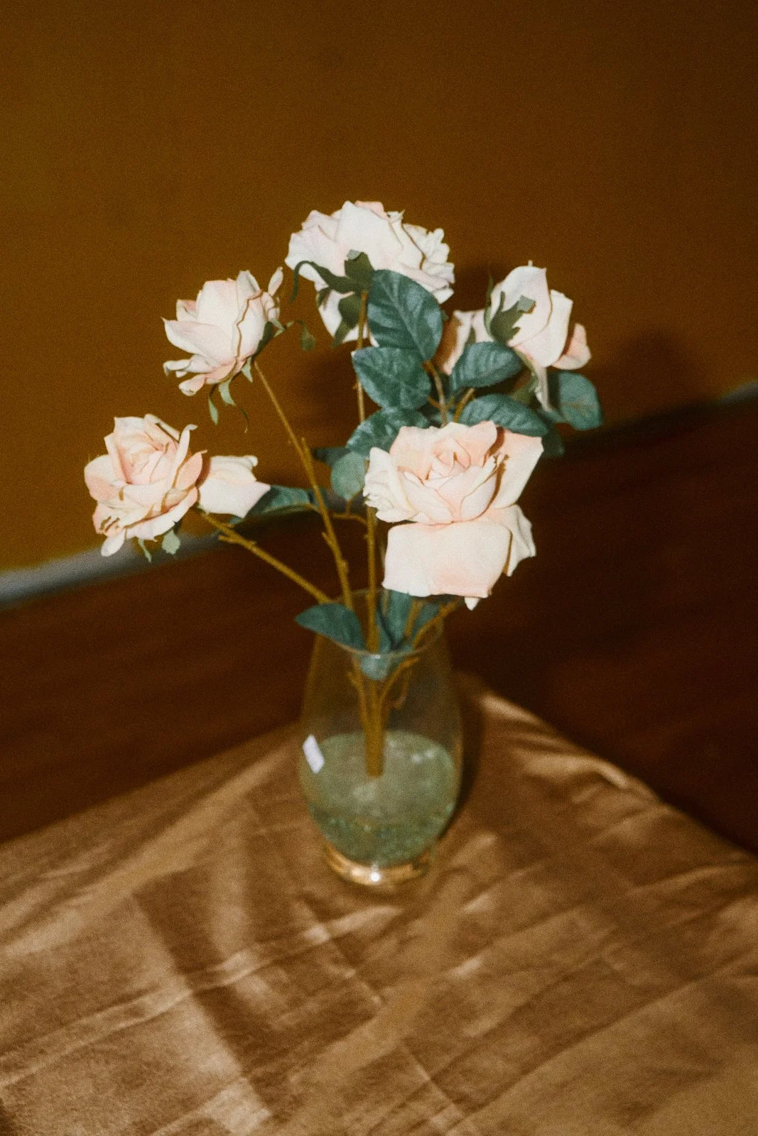 260831_MidCityMosh_MidCityMall_KY__DSC3972.jpg