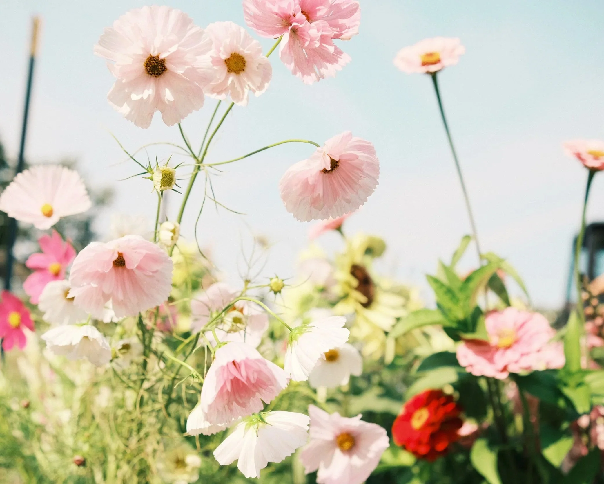 The natural signals your body gives you when it knows spring is near