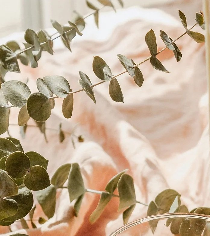 Finding more ease through curiosity instead of certainty