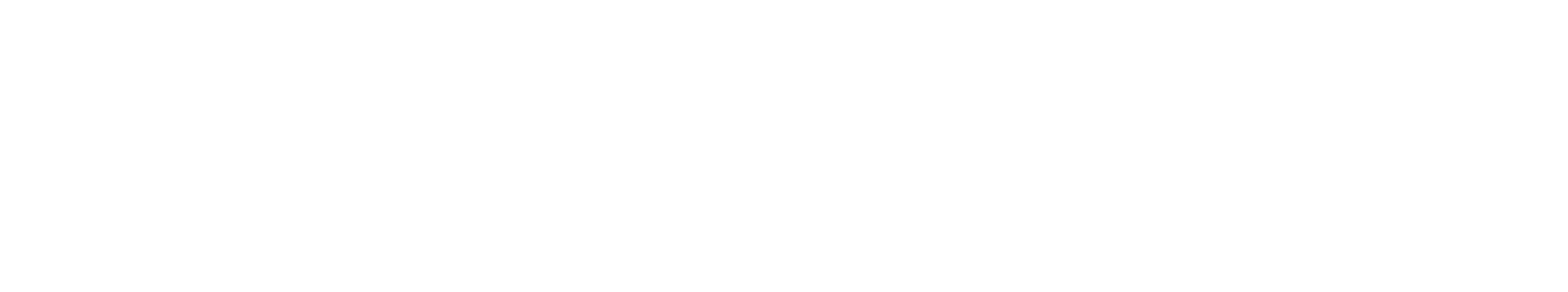 Logo Wide White.png