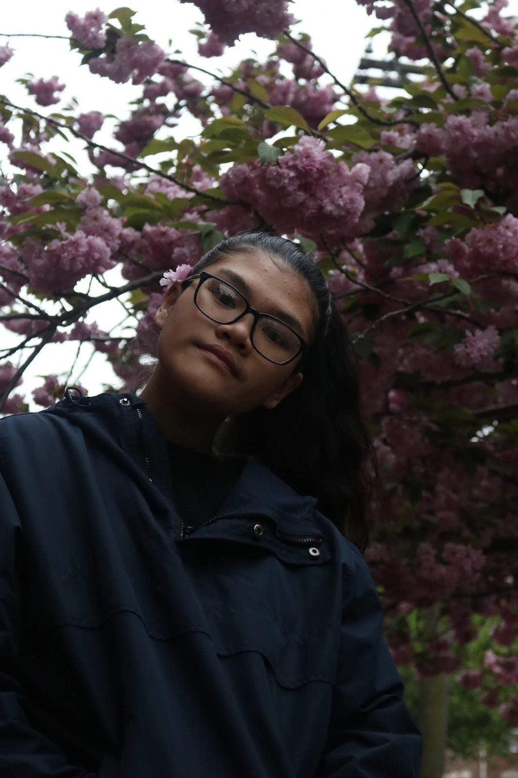 Mona in Spring