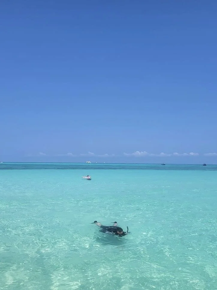 3 people snorkeling in Cozumel with Blue Note Scuba