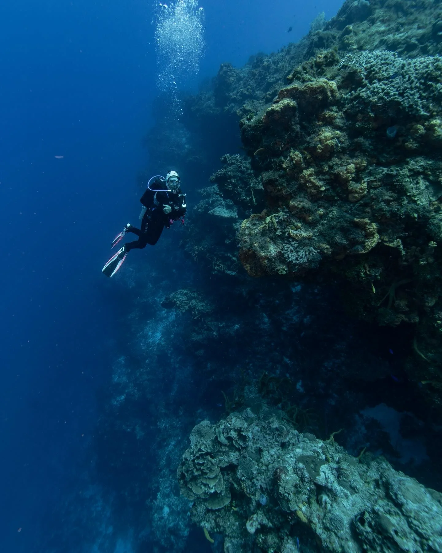 Scuba diver on Santa Rosa Wall Dive in Cozumel Mexico