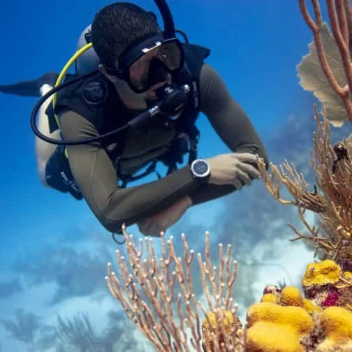 Scuba Dive Cozumel Blue Note Scuba