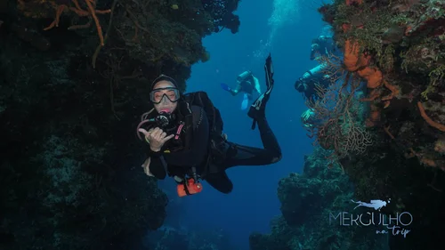 Diving Devil's Throat Cozumel — Award-Winning Dive Shop in Cozumel ...