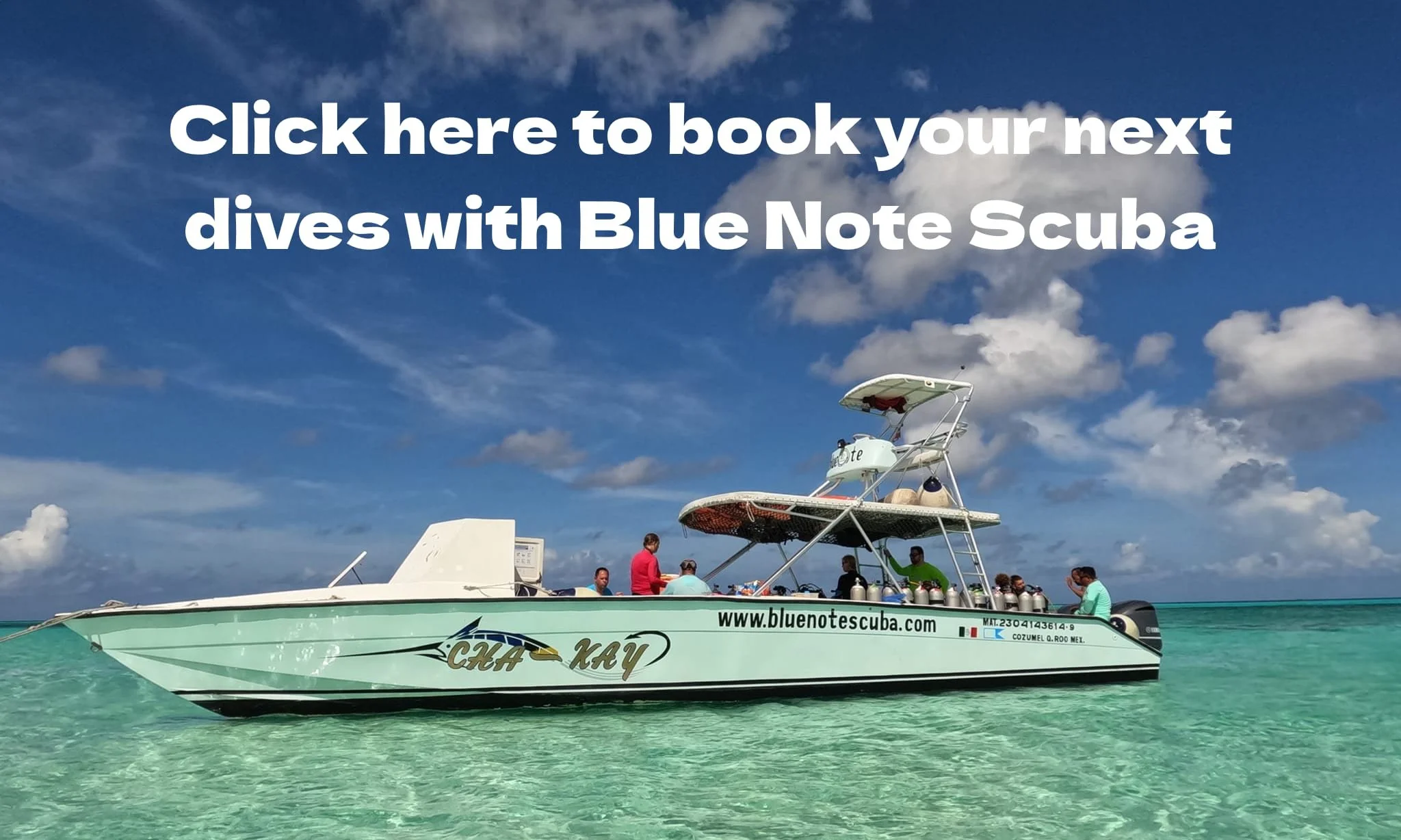 The best and fastest dive boat in Cozumel