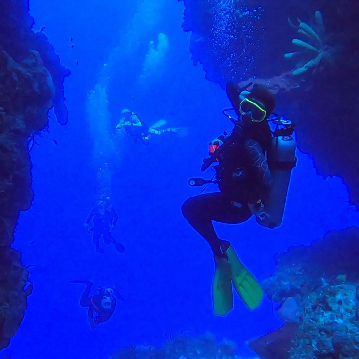 The Top Ten Best Dive Sites In Cozumel 2025 — Scuba Dive Cozumel : Blue ...
