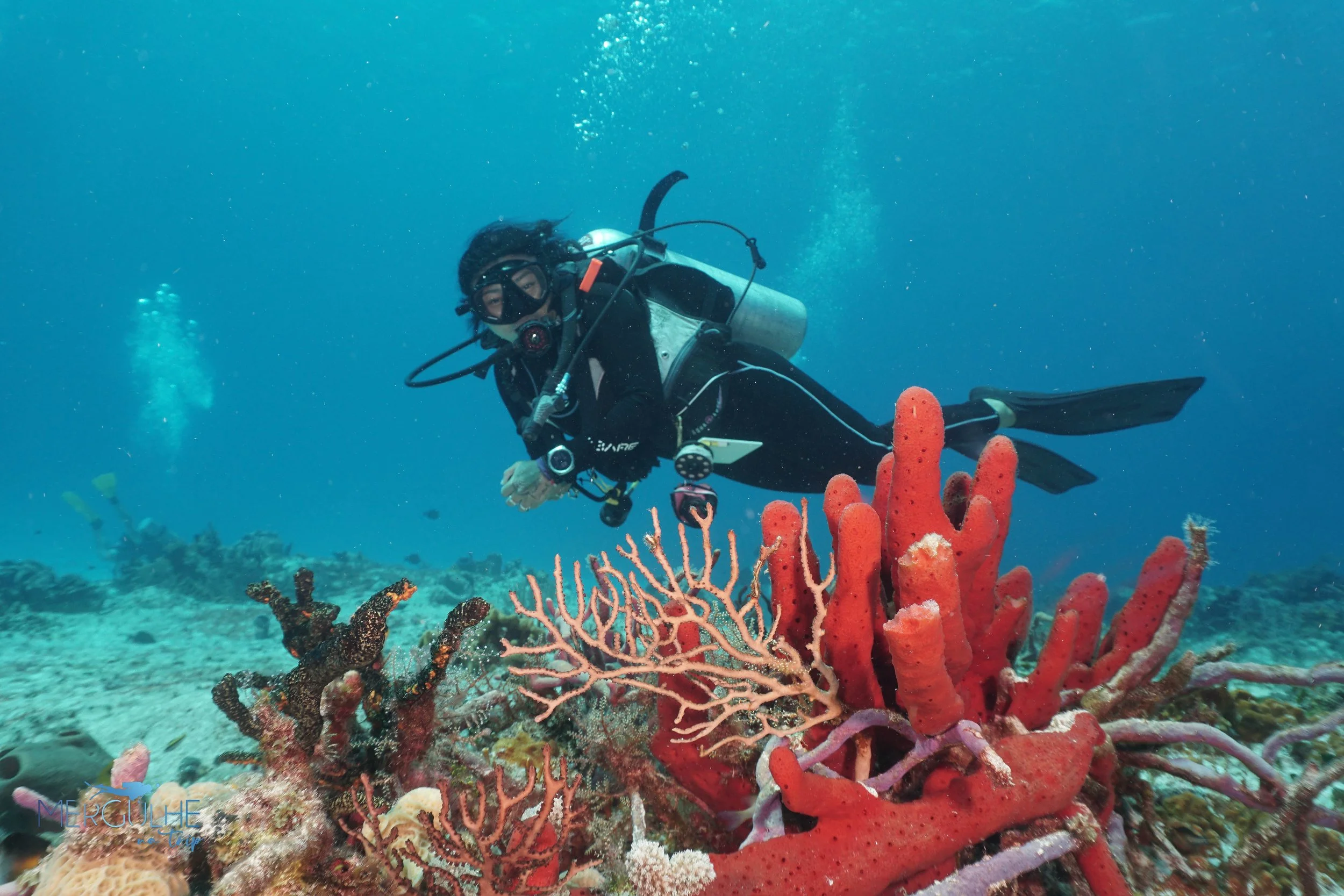 Female Scuba Diver in Cozumel Mexico