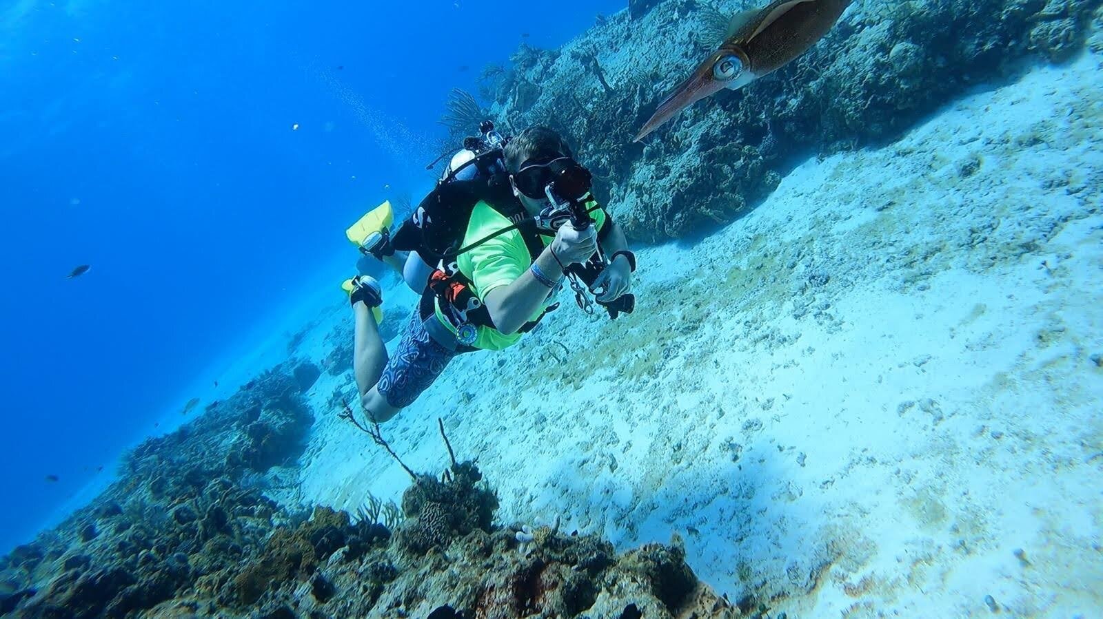 Scuba Dive Cozumel : Blue Note Scuba