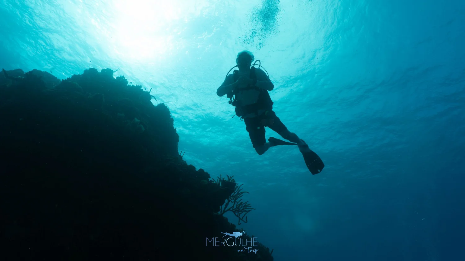 Cozumel Scuba Diving Prices 2023 — Scuba Dive Cozumel Blue Note Scuba