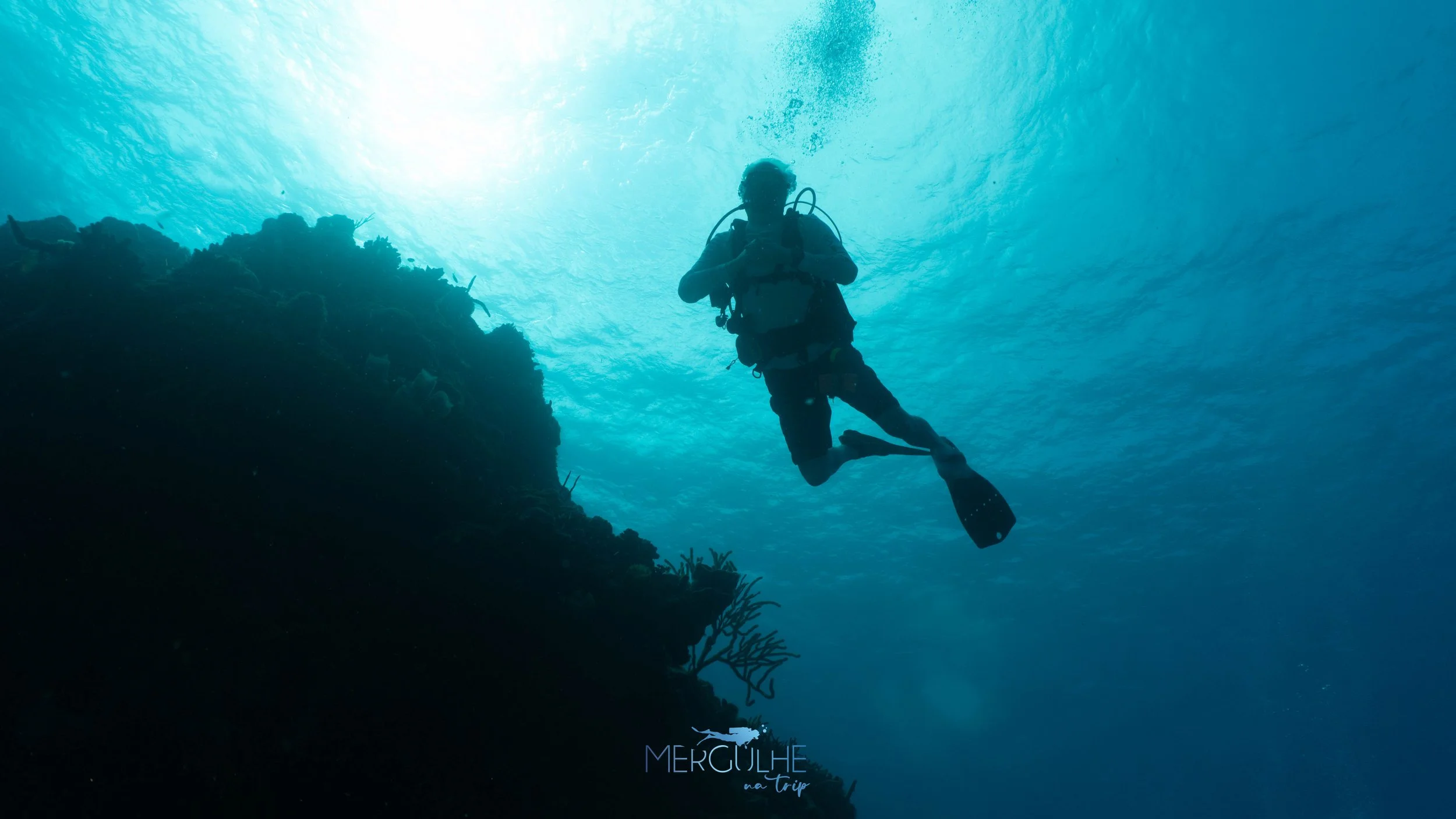 Cozumel Scuba Diving Prices 2022 — Scuba Dive Cozumel Blue Note Scuba