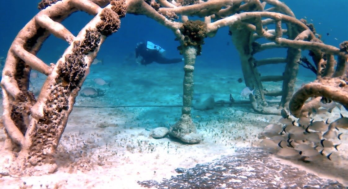 Underwater sculpture in Cozumel Tiklia Reef