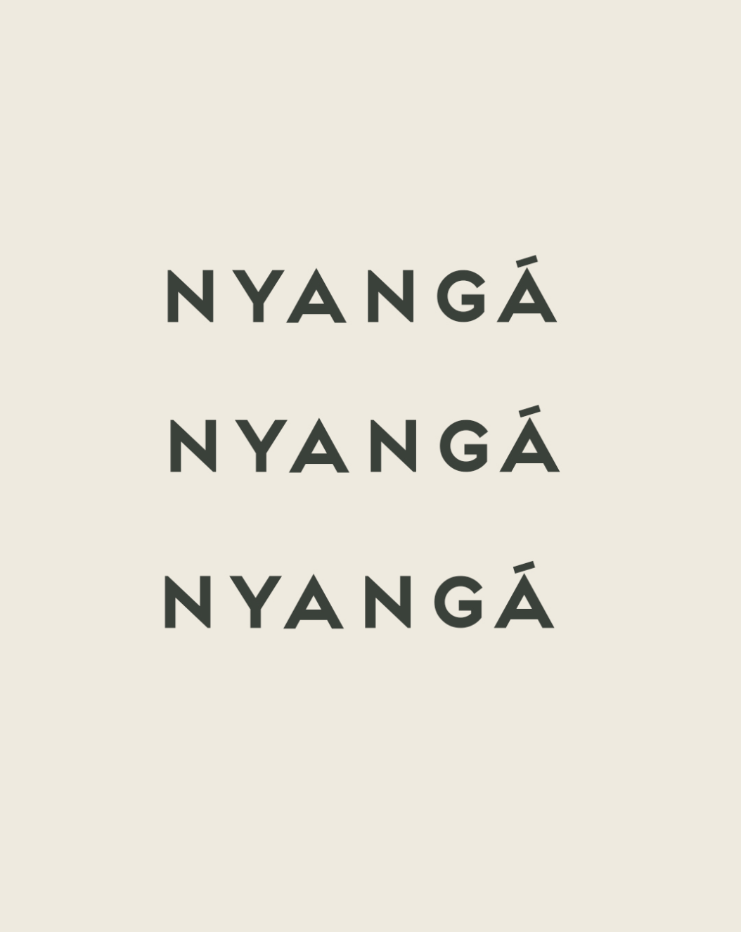 nyanga visual5.png