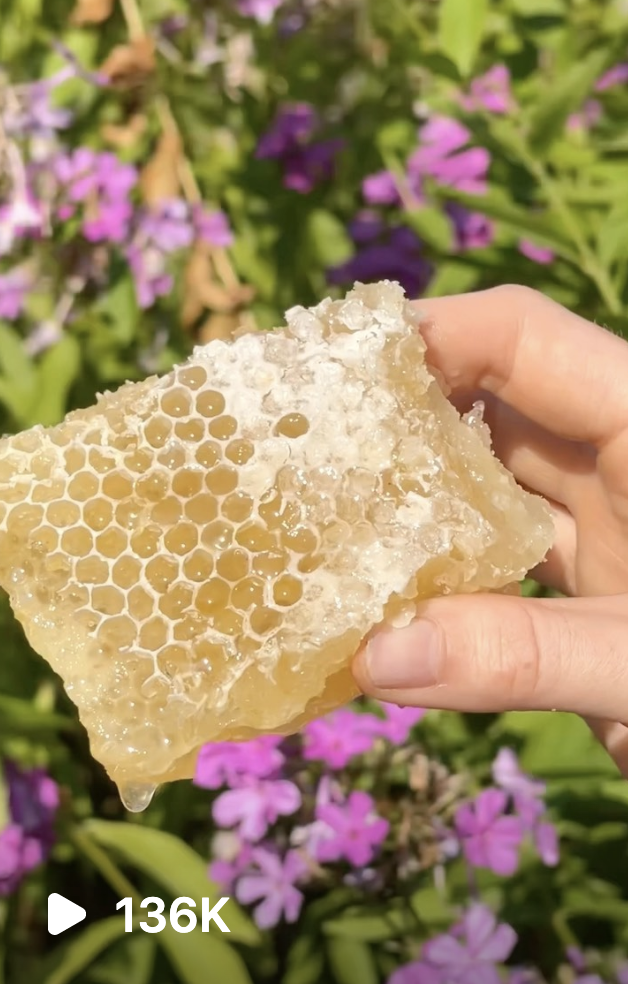 Screenshot 2023-01-06 at 00.18.04.png